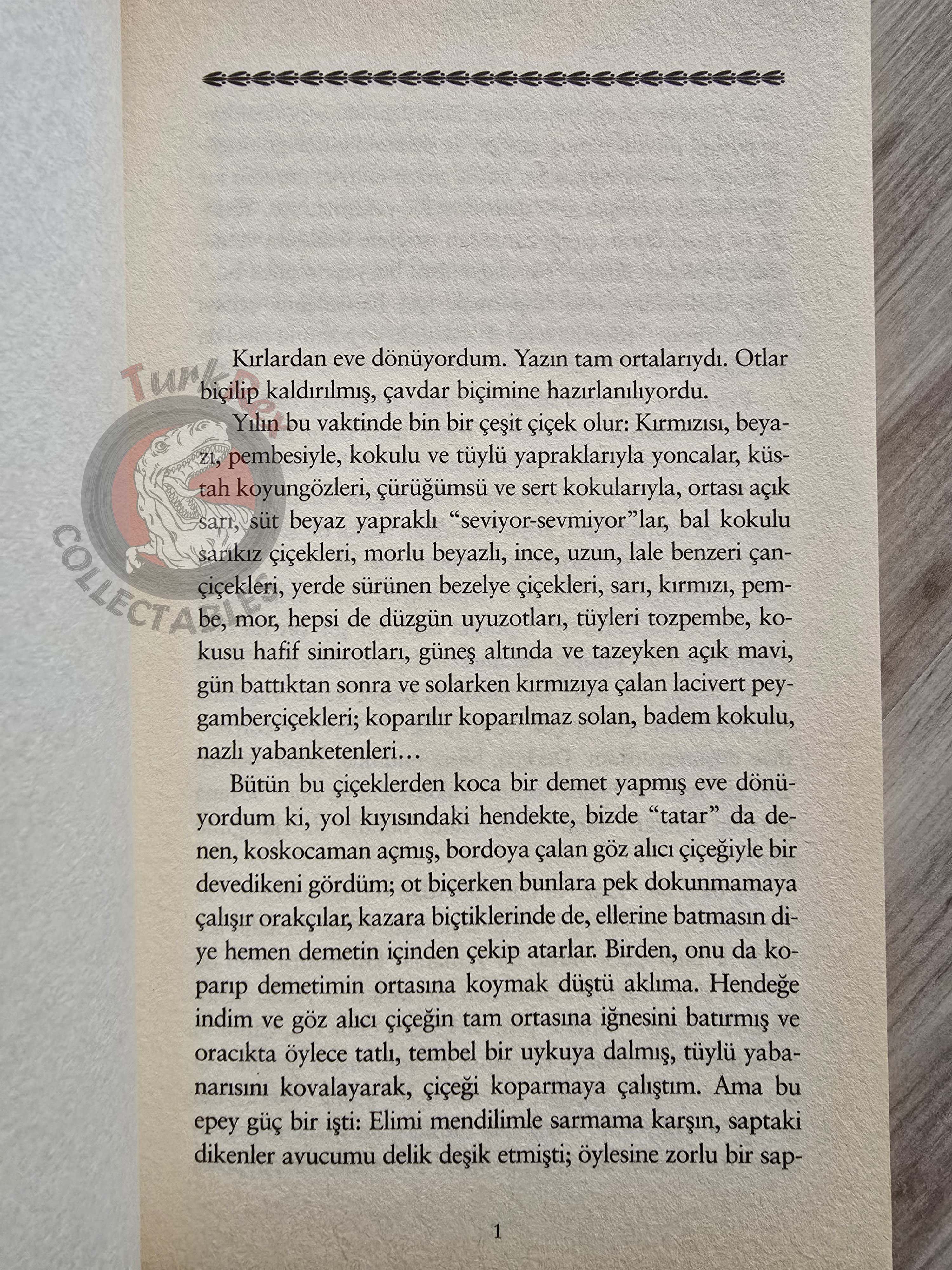 Leo Tolstoy – Hadji Murat 2008 Turkish Book Turkey