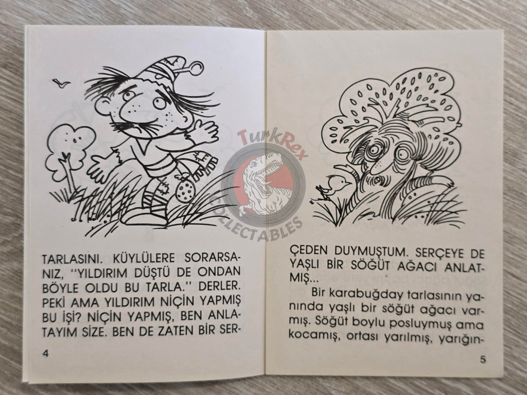 Hans Christian Andersen – The Buckwheat 1994 Turkish Book Turkey Illustrated