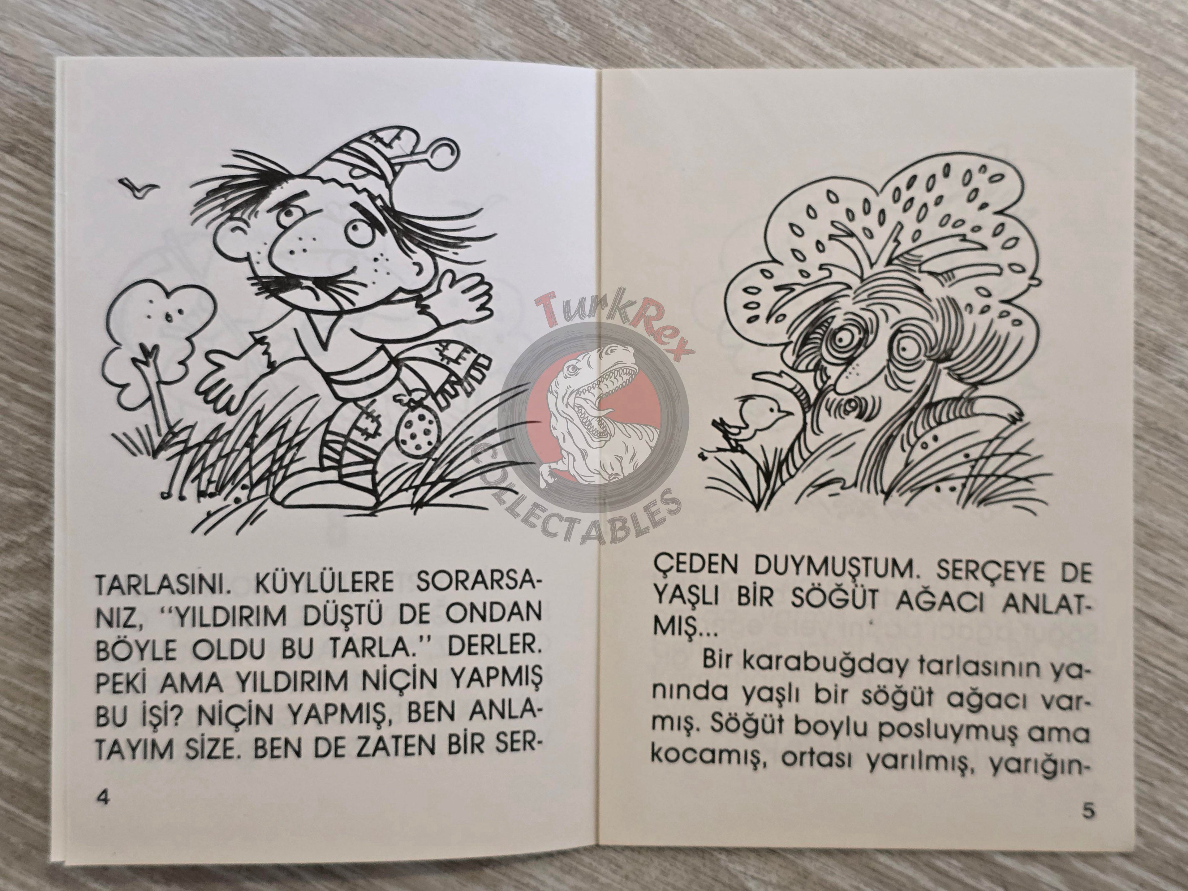 Hans Christian Andersen – The Buckwheat 1994 Turkish Book Turkey Illustrated