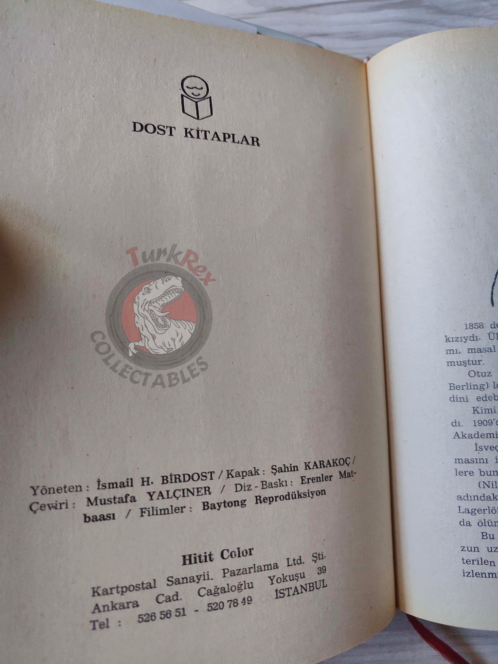 Selma Lagerlöf – The Wonderful Adventures Of Nils 90s Illustrated Turkish Book Turkey