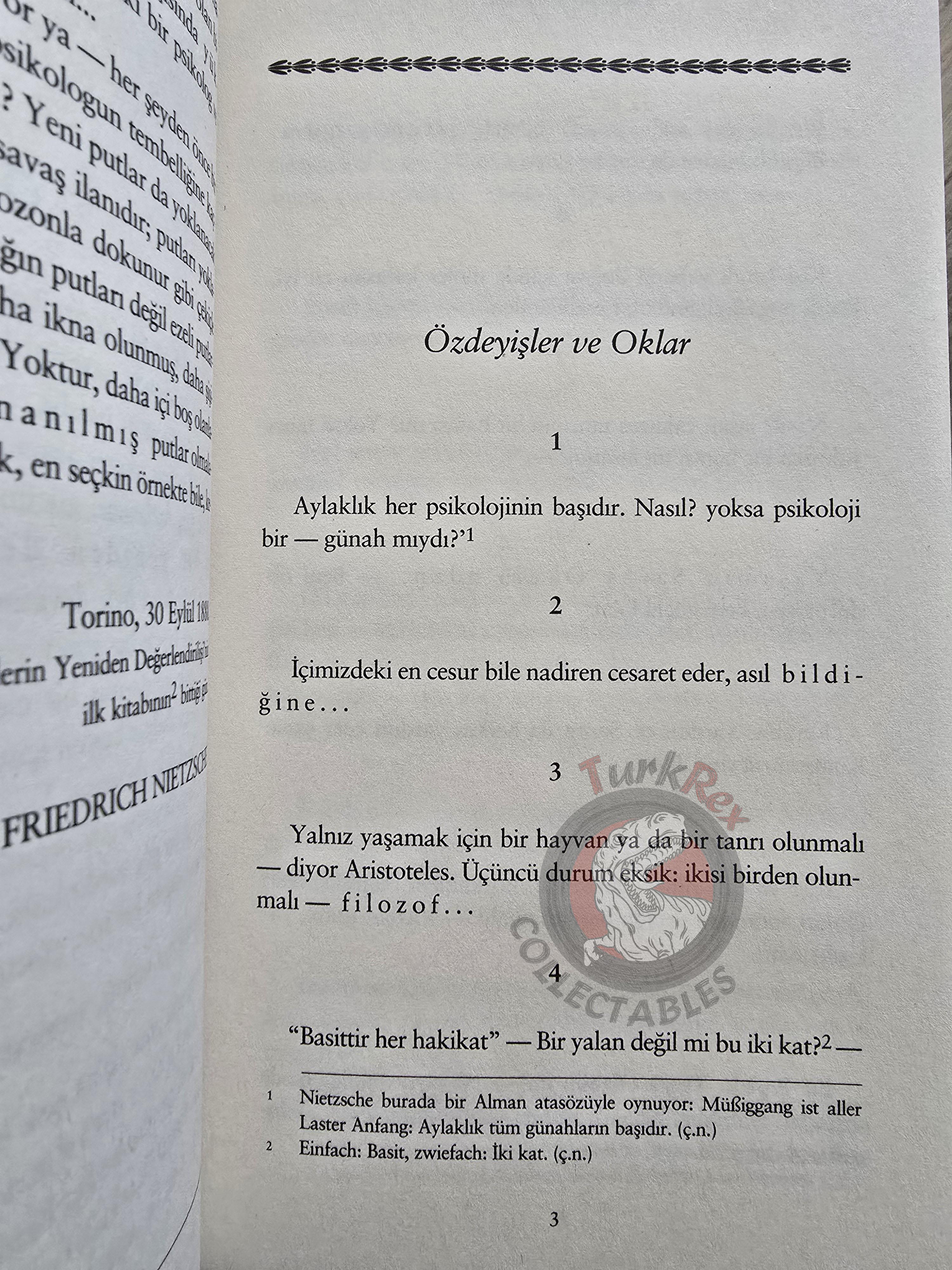 Friedrich Nietzsche –  Twilight of the Idols 2022 Turkish Book Turkey