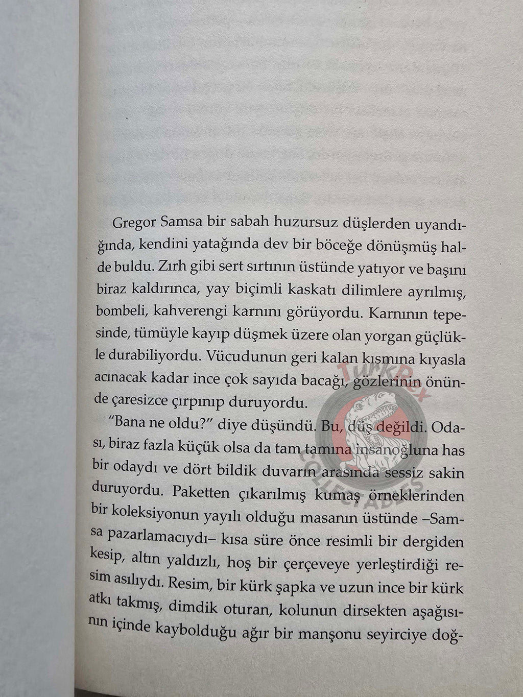Franz Kafka – The Metamorphosis Turkish Book Turkey