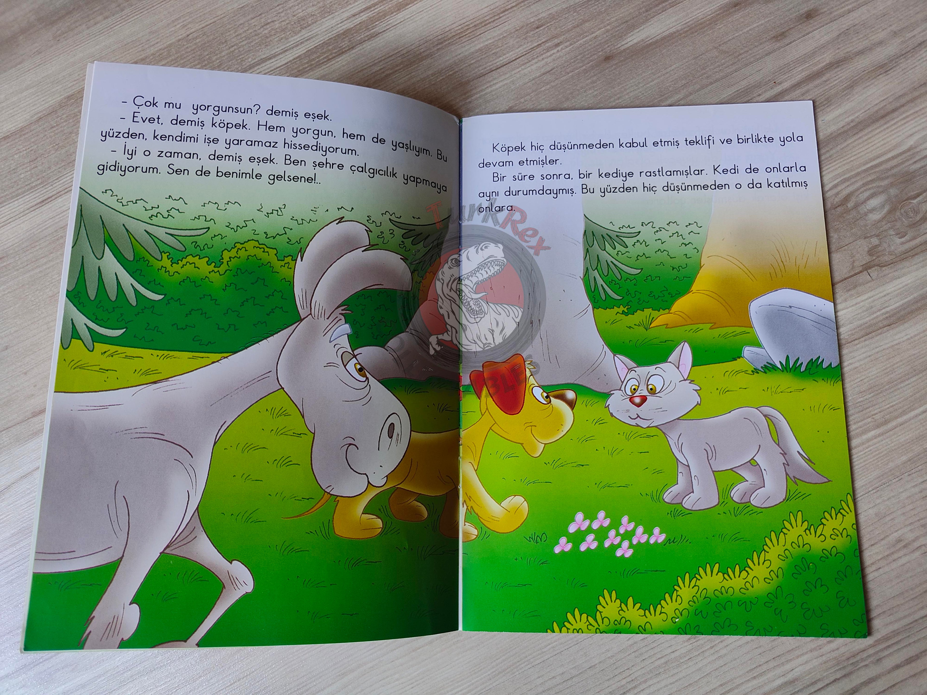 Grimm Brothers – Town Musicians of Bremen 2011 Turkish Book Turkey Illustrated 2