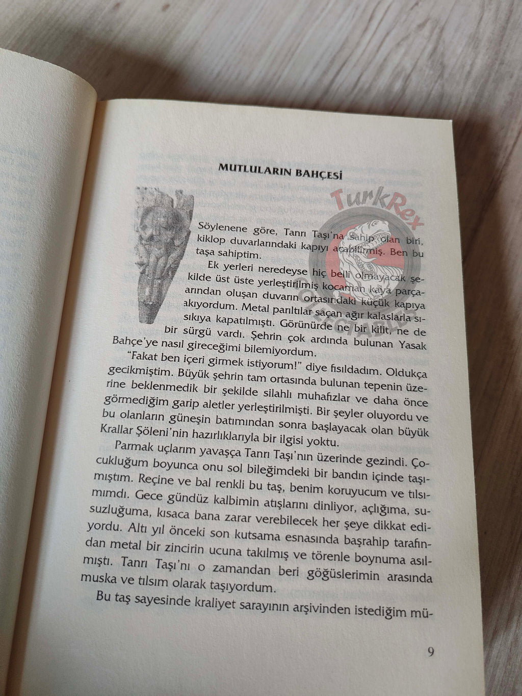 Thomas R. P. Mielke – Inanna 2004 Turkish Book Turkey
