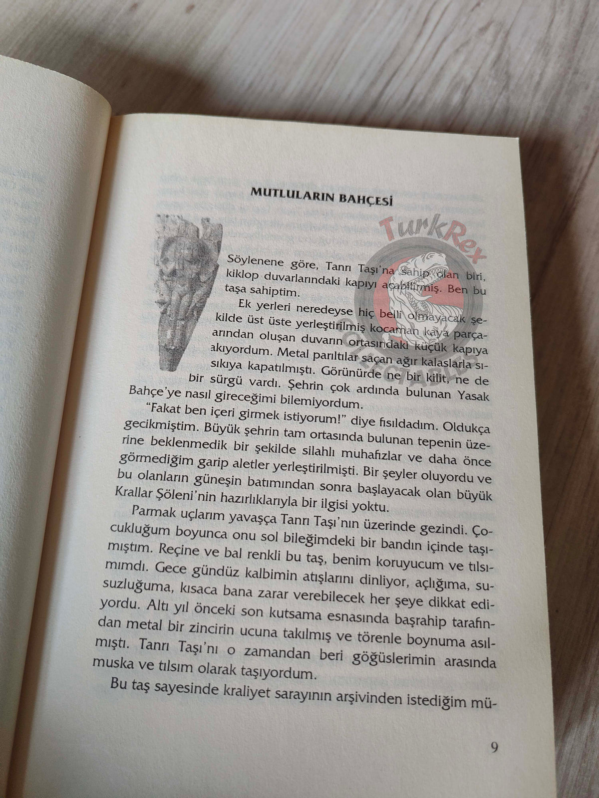 Thomas R. P. Mielke – Inanna 2004 Turkish Book Turkey