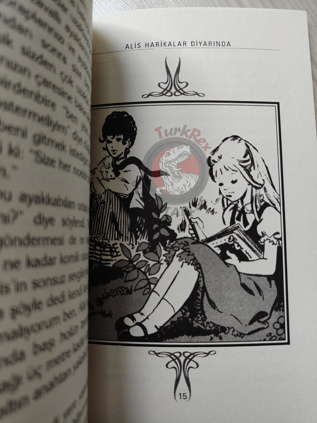Lewis Carroll – Alice in Wonderland 2006 Turkish Book Turkey Illustrated