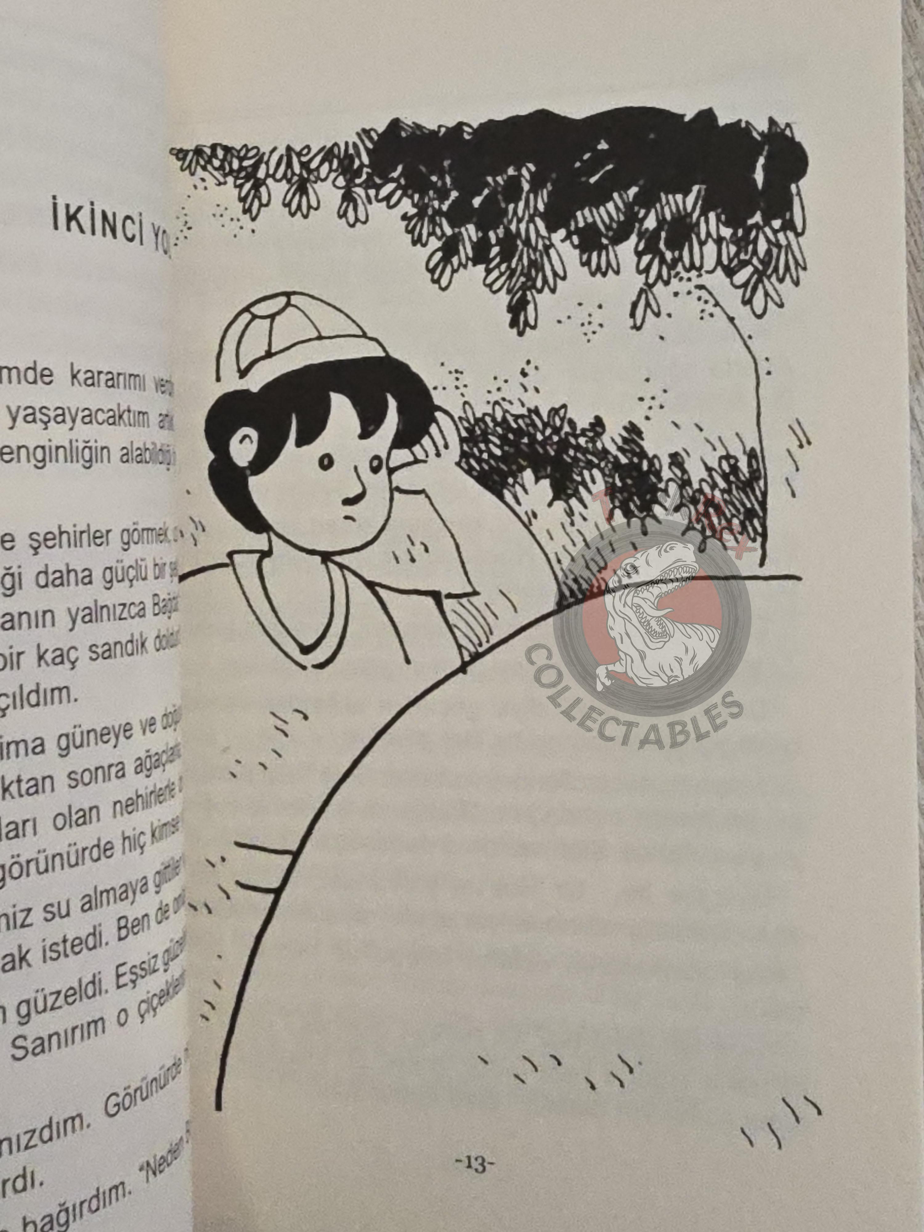 Sinbad the Sailor 2011 Turkish Book Turkey 1001 Nights Illustrated