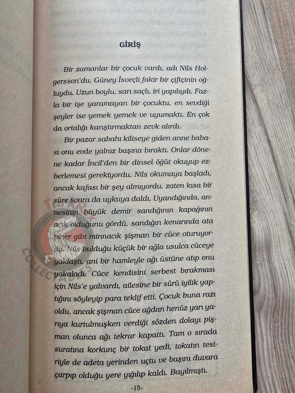 Selma Lagerlöf – The Wonderful Adventures Of Nils 2005 Illustrated Turkish Book Turkey