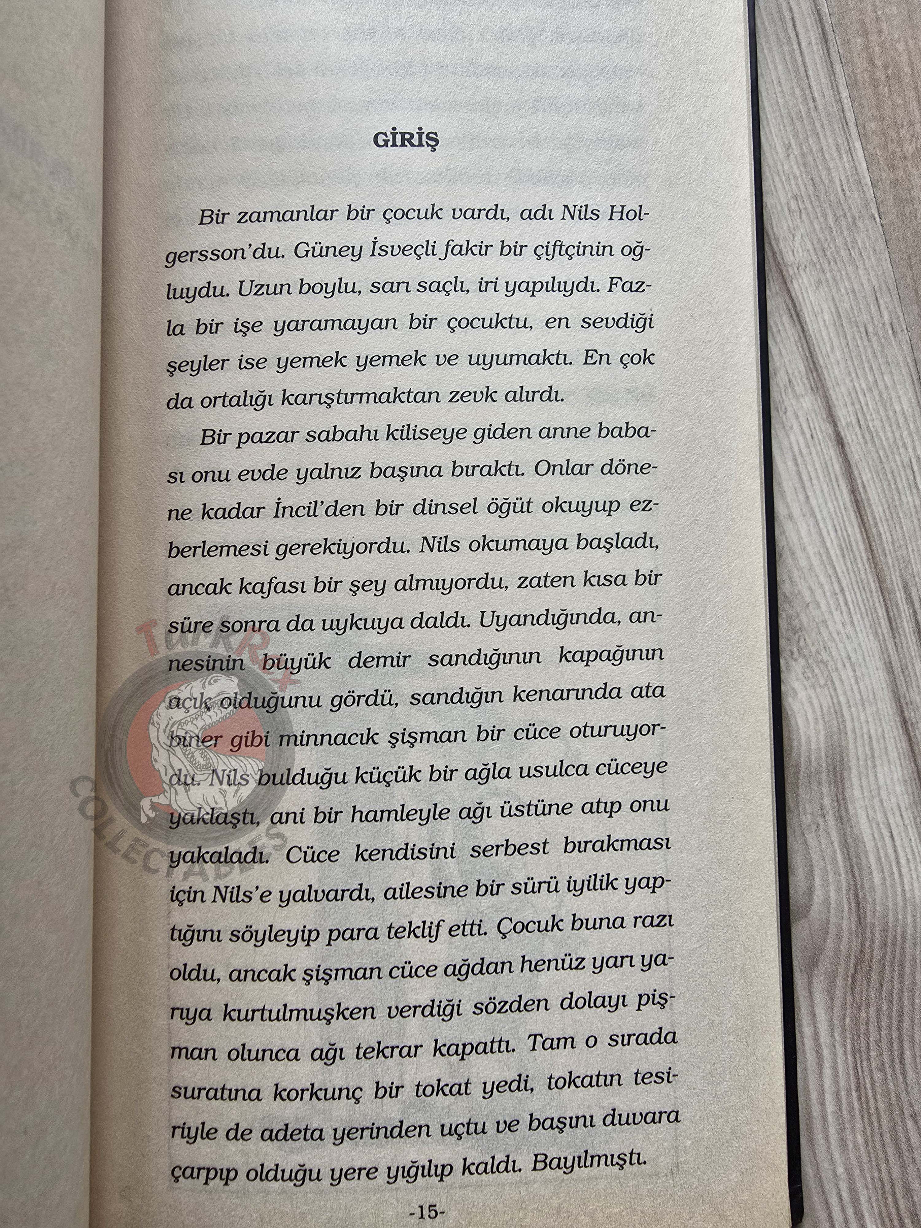 Selma Lagerlöf – The Wonderful Adventures Of Nils 2005 Illustrated Turkish Book Turkey