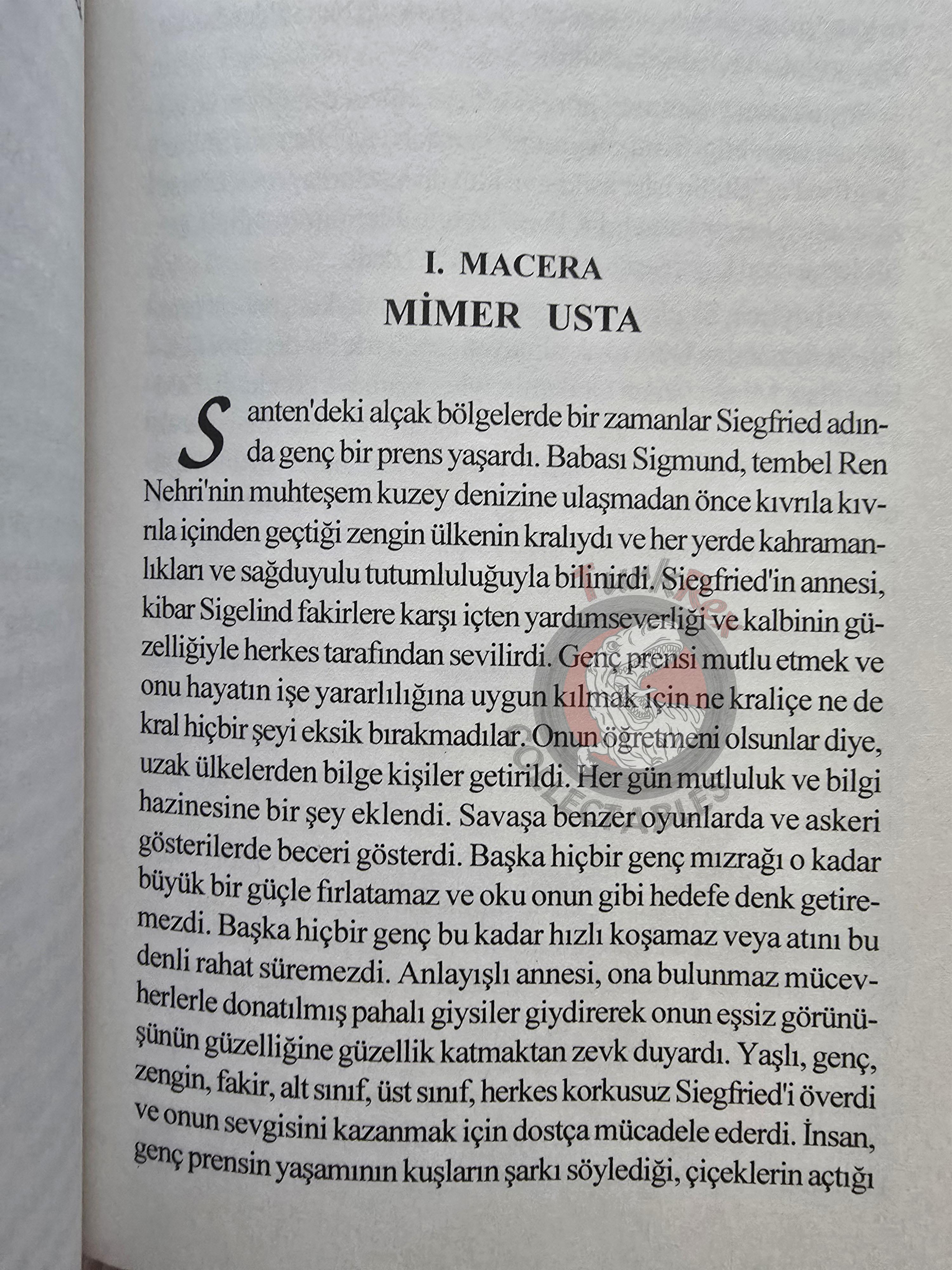 James Baldwin – The Story of Siegfried 2011 Turkish Book Turkey