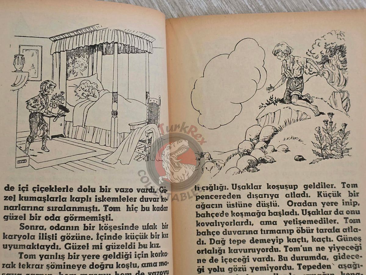 Charles Kingsley – The Water Babies 1977 Turkish Book Turkey Illustrated