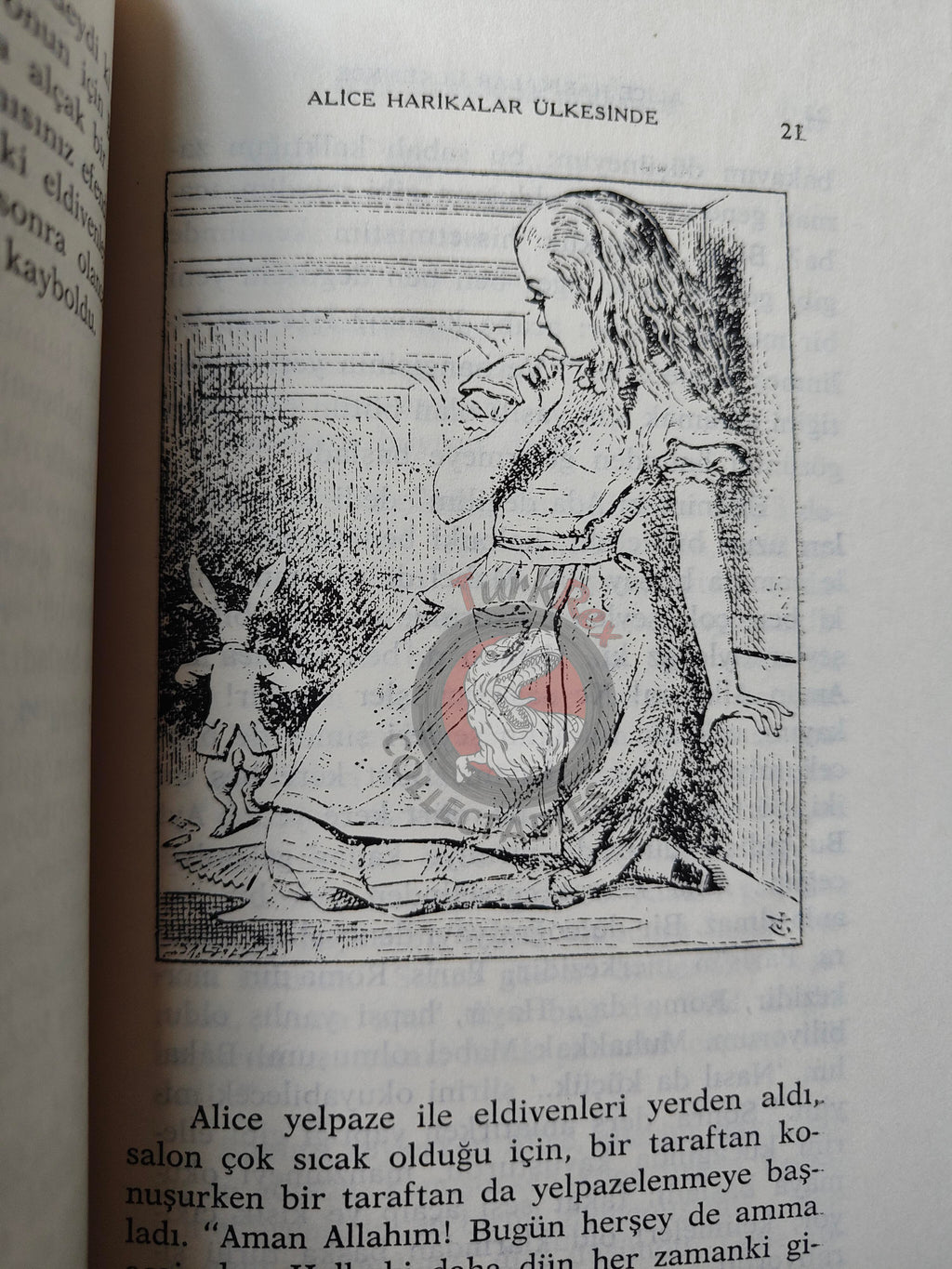 Lewis Carroll – Alice in Wonderland 1990 Turkish Book Turkey Illustrated John Tenniel