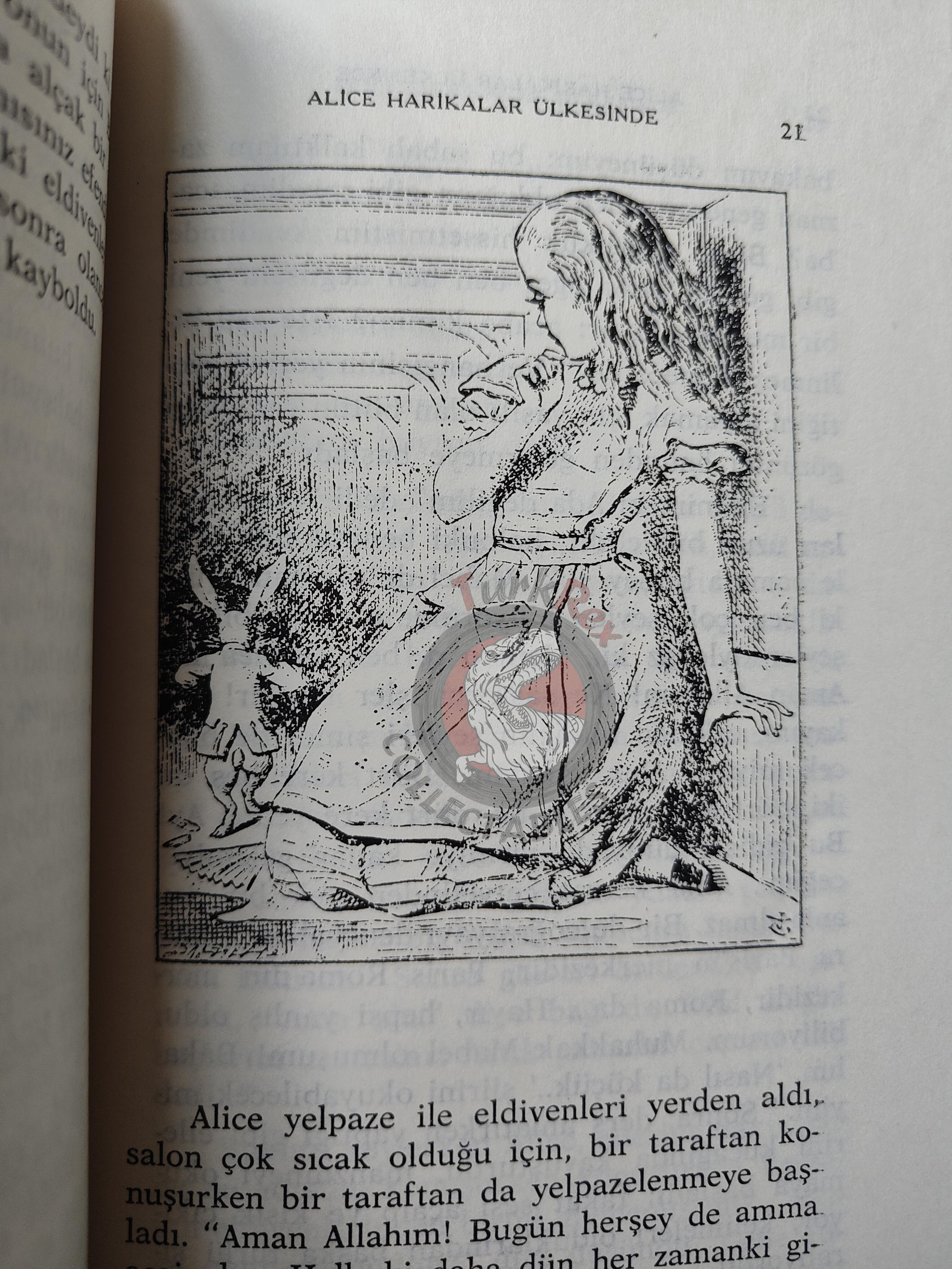 Lewis Carroll – Alice in Wonderland 1990 Turkish Book Turkey Illustrated John Tenniel