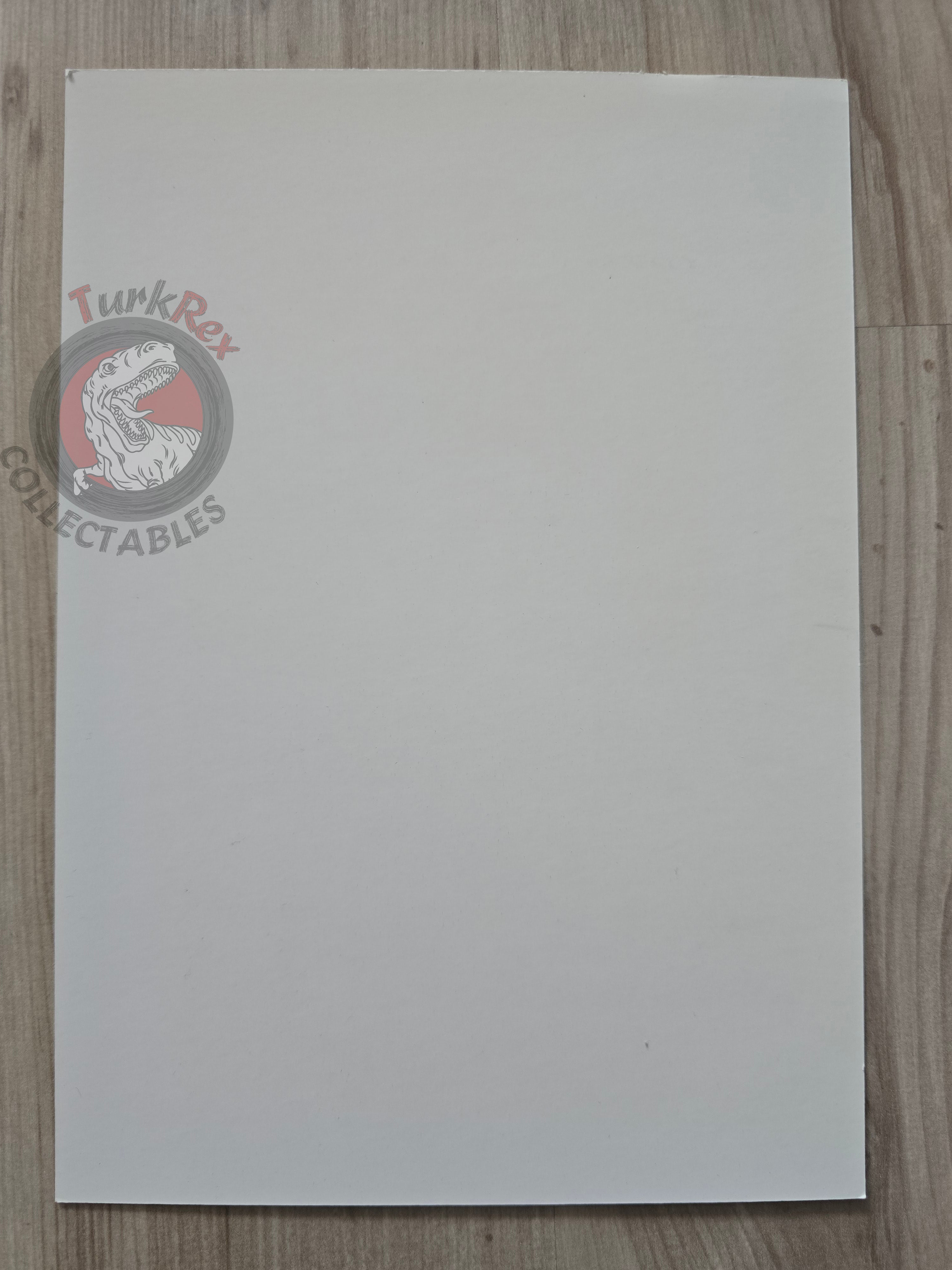 Greystorm Promotional Postcard #3 2010 Turkish Comic Turkey