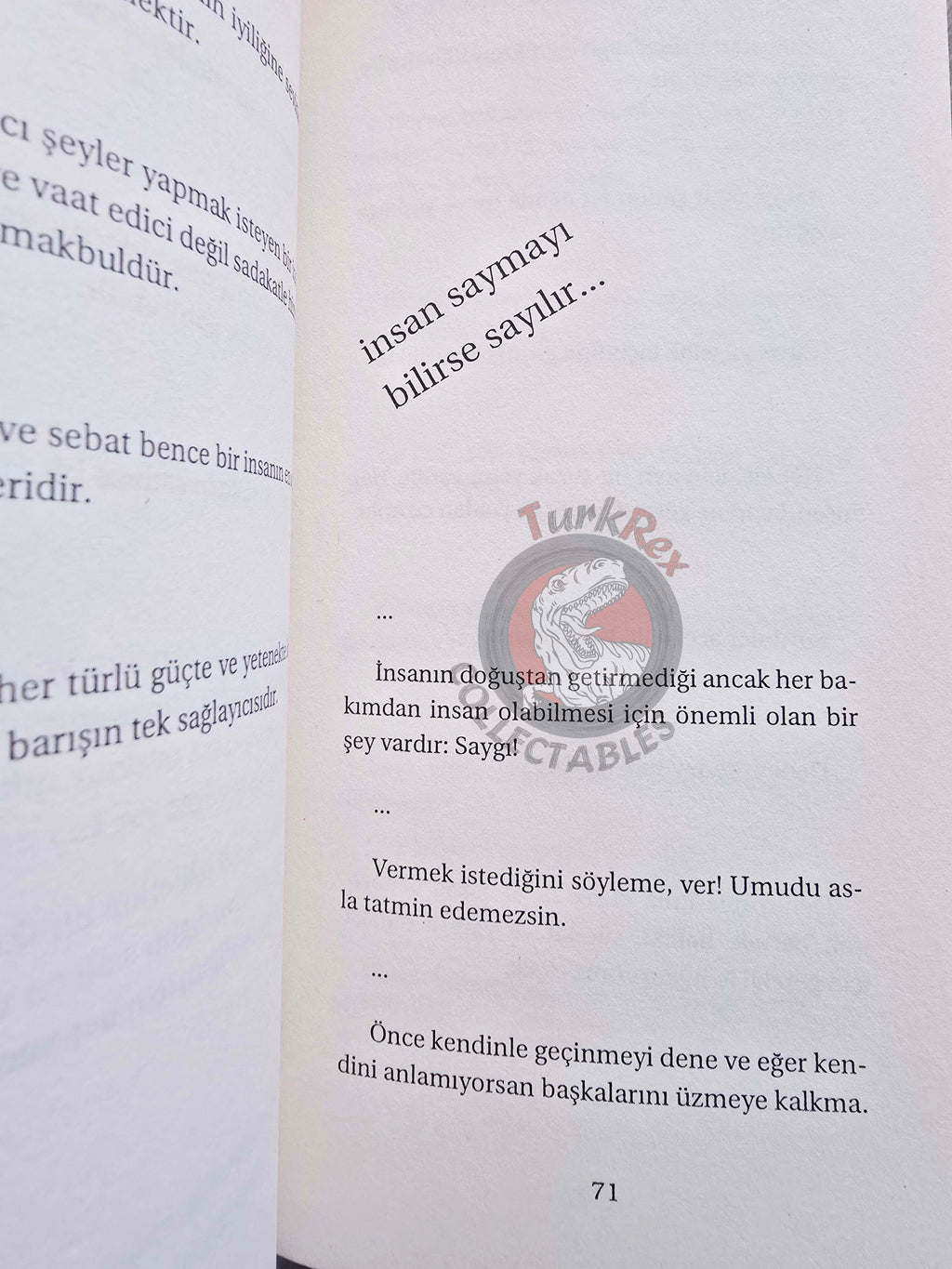 Goethe – Goethe's Thoughts That Touch The Soul 2006 Turkish Book Turkey