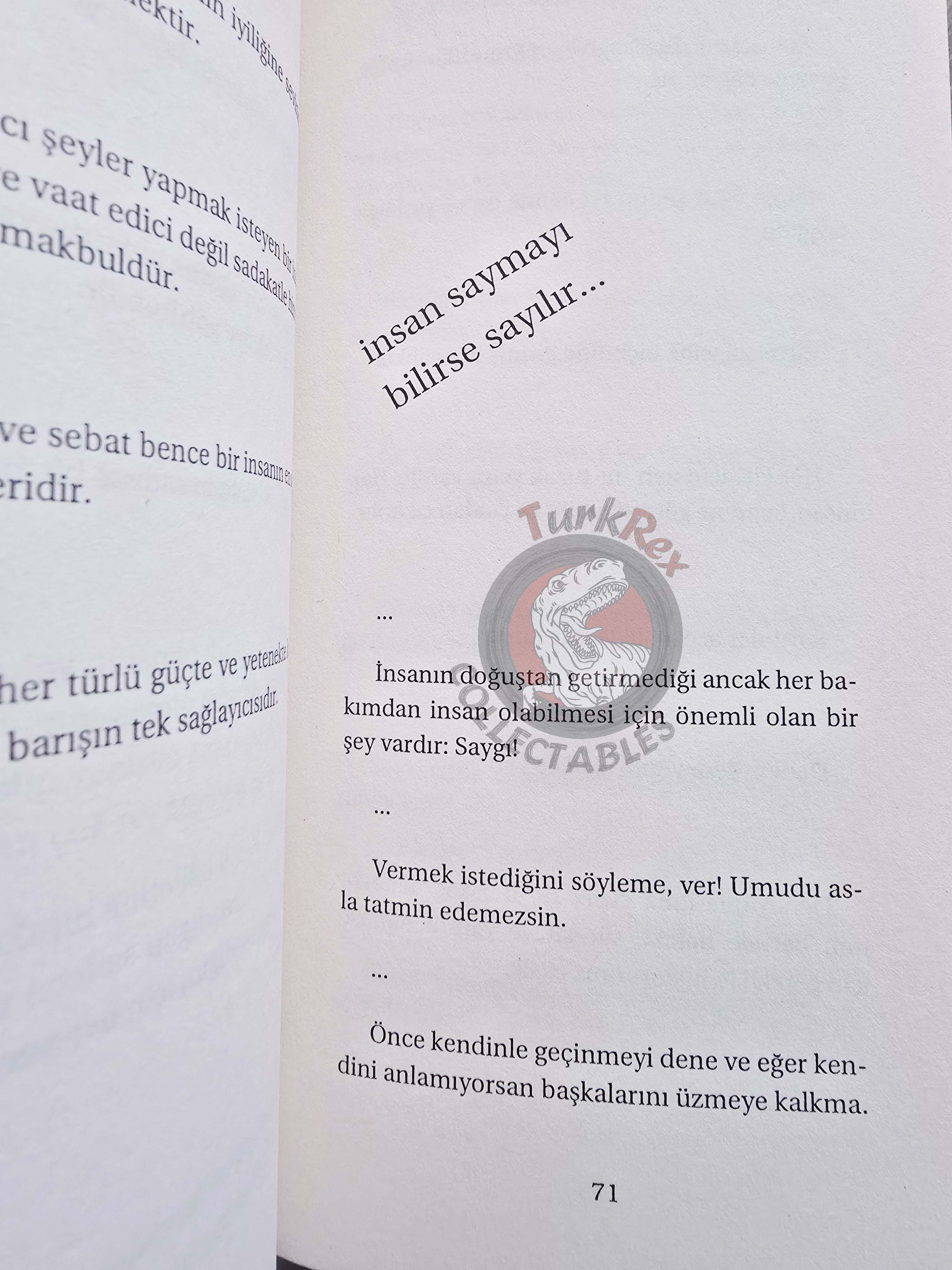 Goethe – Goethe's Thoughts That Touch The Soul 2006 Turkish Book Turkey
