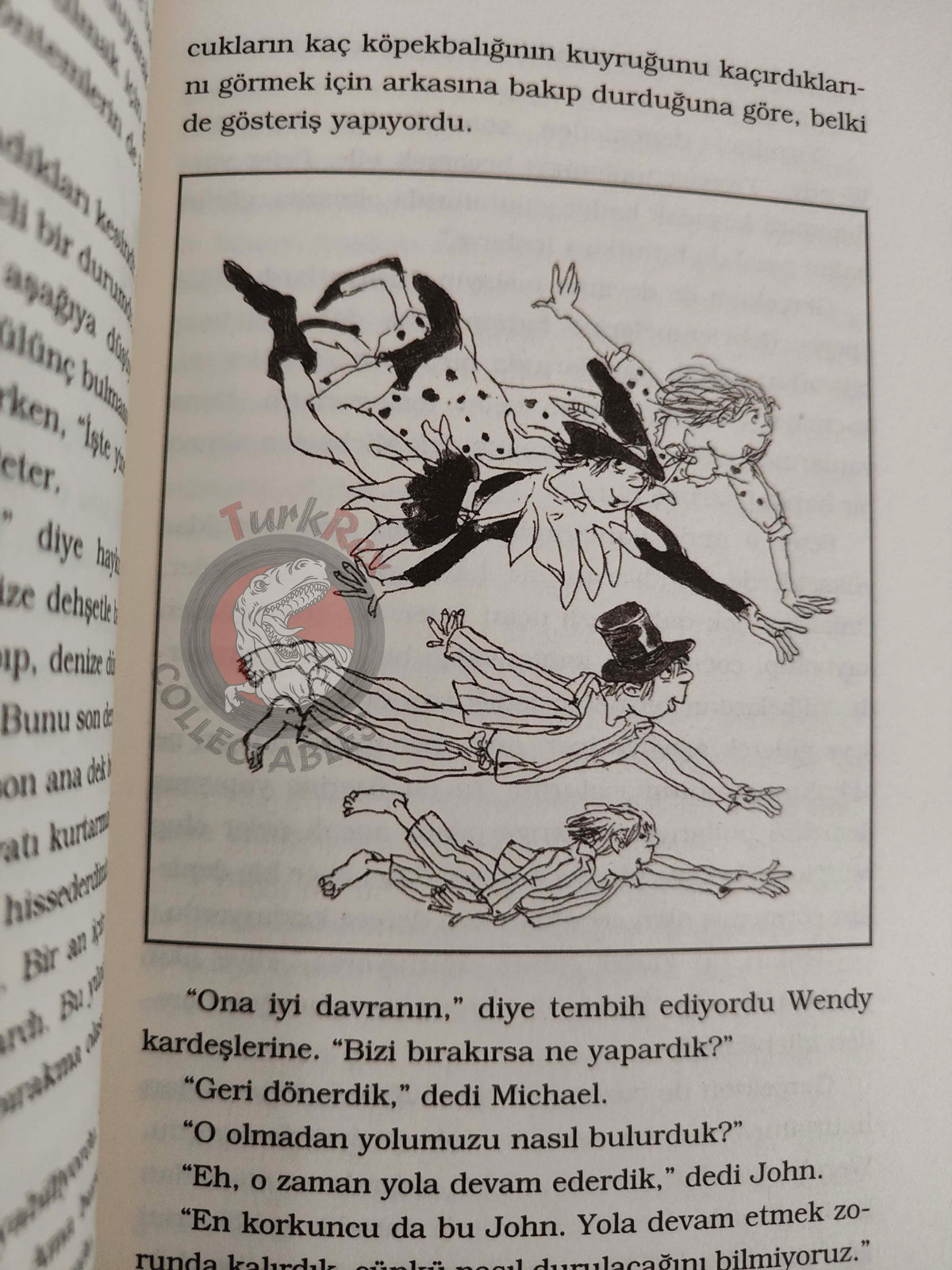 J. M. Barrie – Peter Pan 2012 Turkish Book Turkey Illustrated