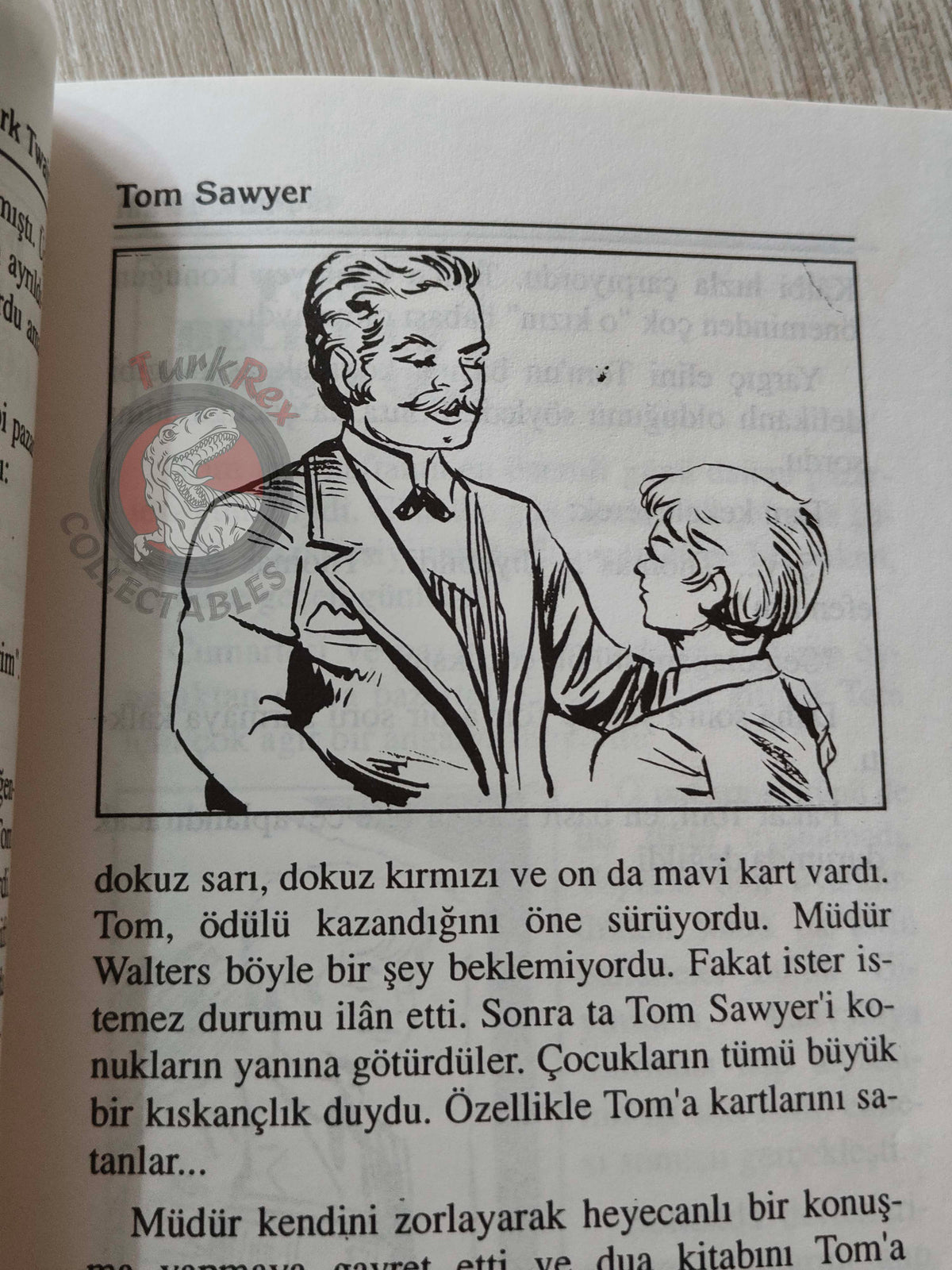Mark Twain – Tom Sawyer 1997 Turkish Book Turkey Illustrated