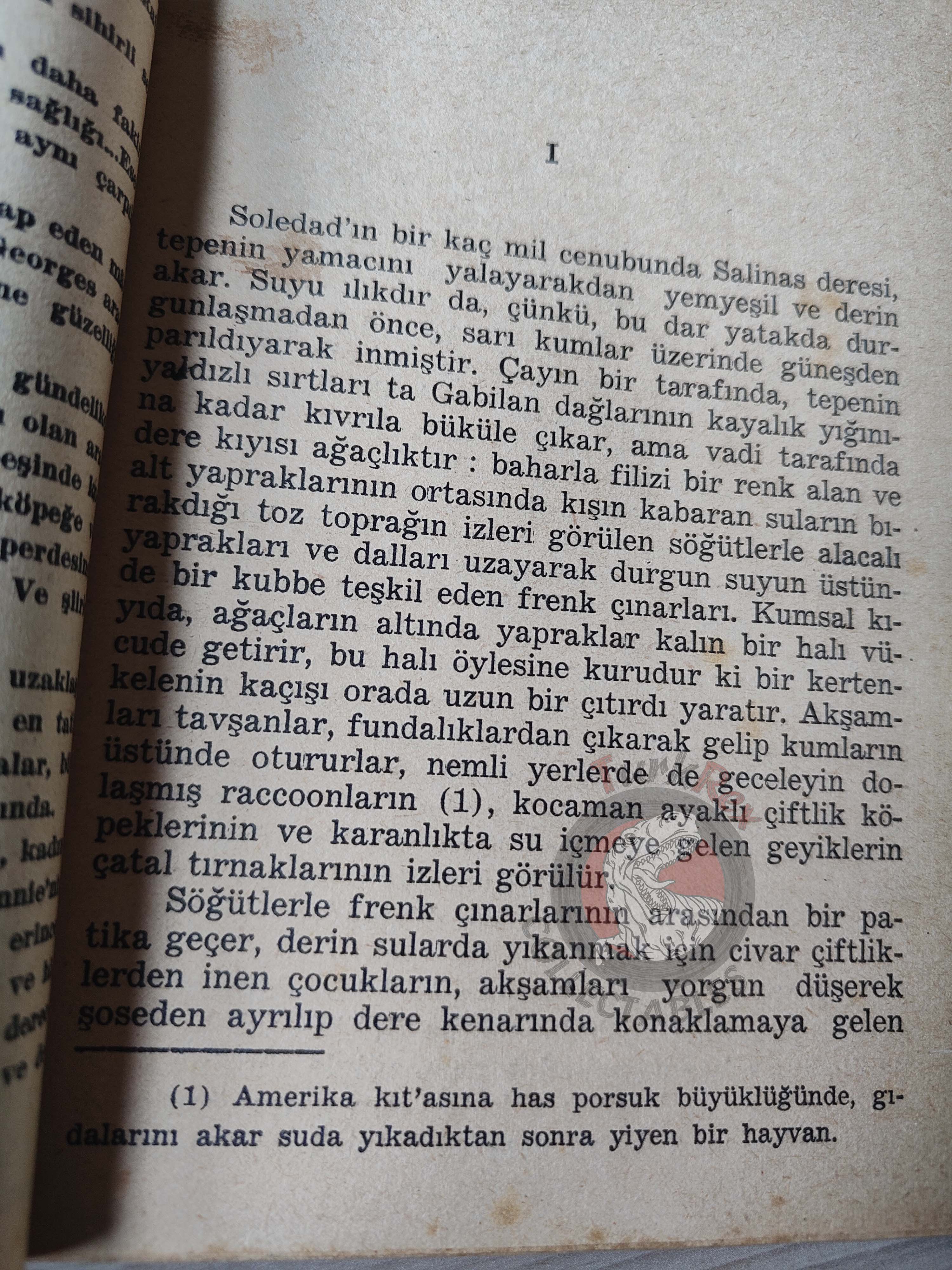John Steinbeck – Of Mice and Men 1951 1st Turkish Book Turkey