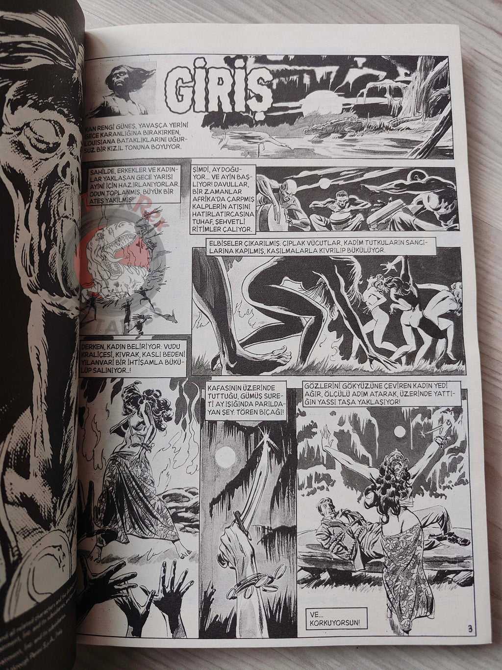 Tales of the Zombie Issue #1 to #9 2010 Turkish Comic Turkey Essential #2