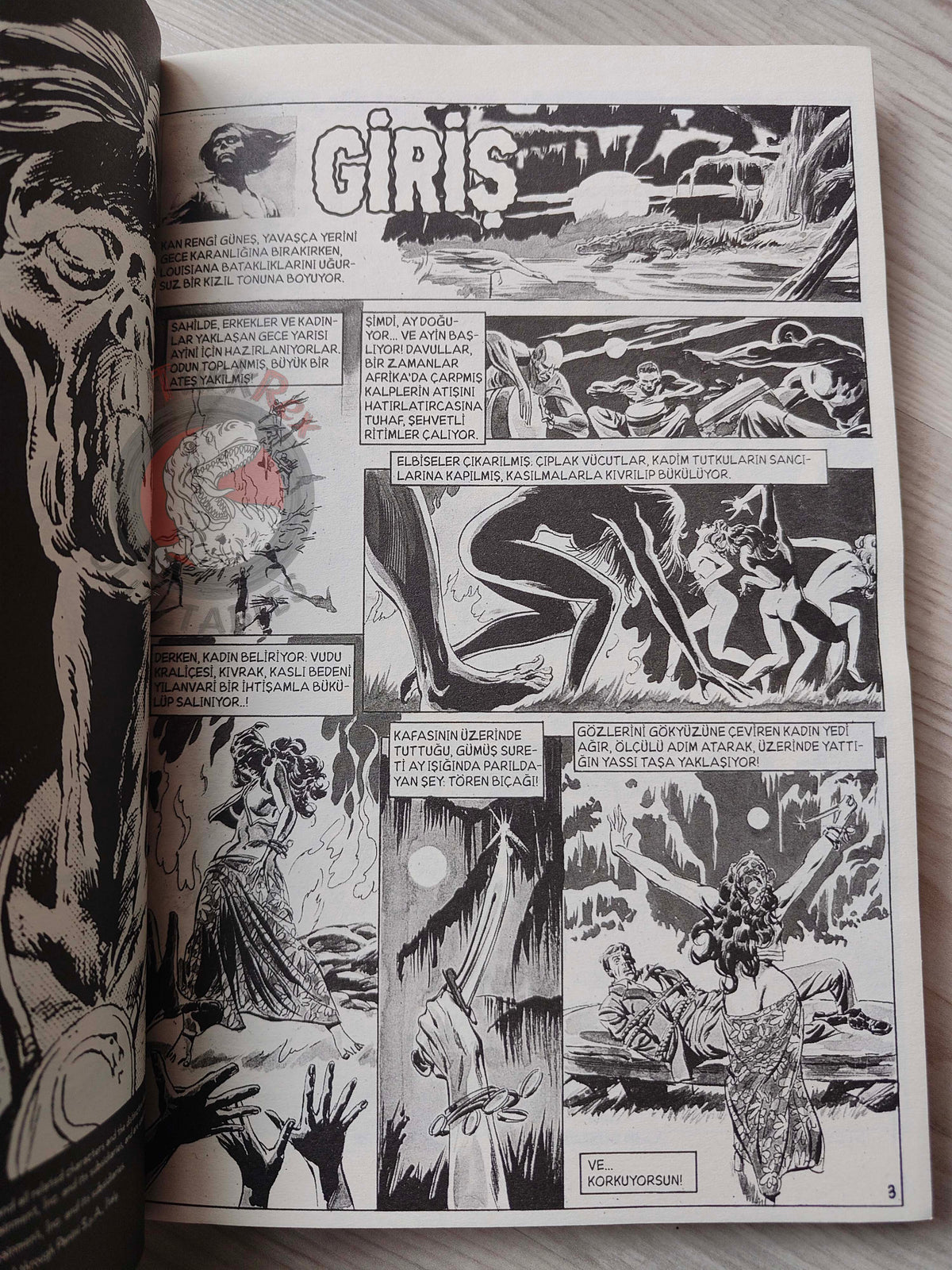 Tales of the Zombie Issue #1 to #9 2010 Turkish Comic Turkey Essential #2