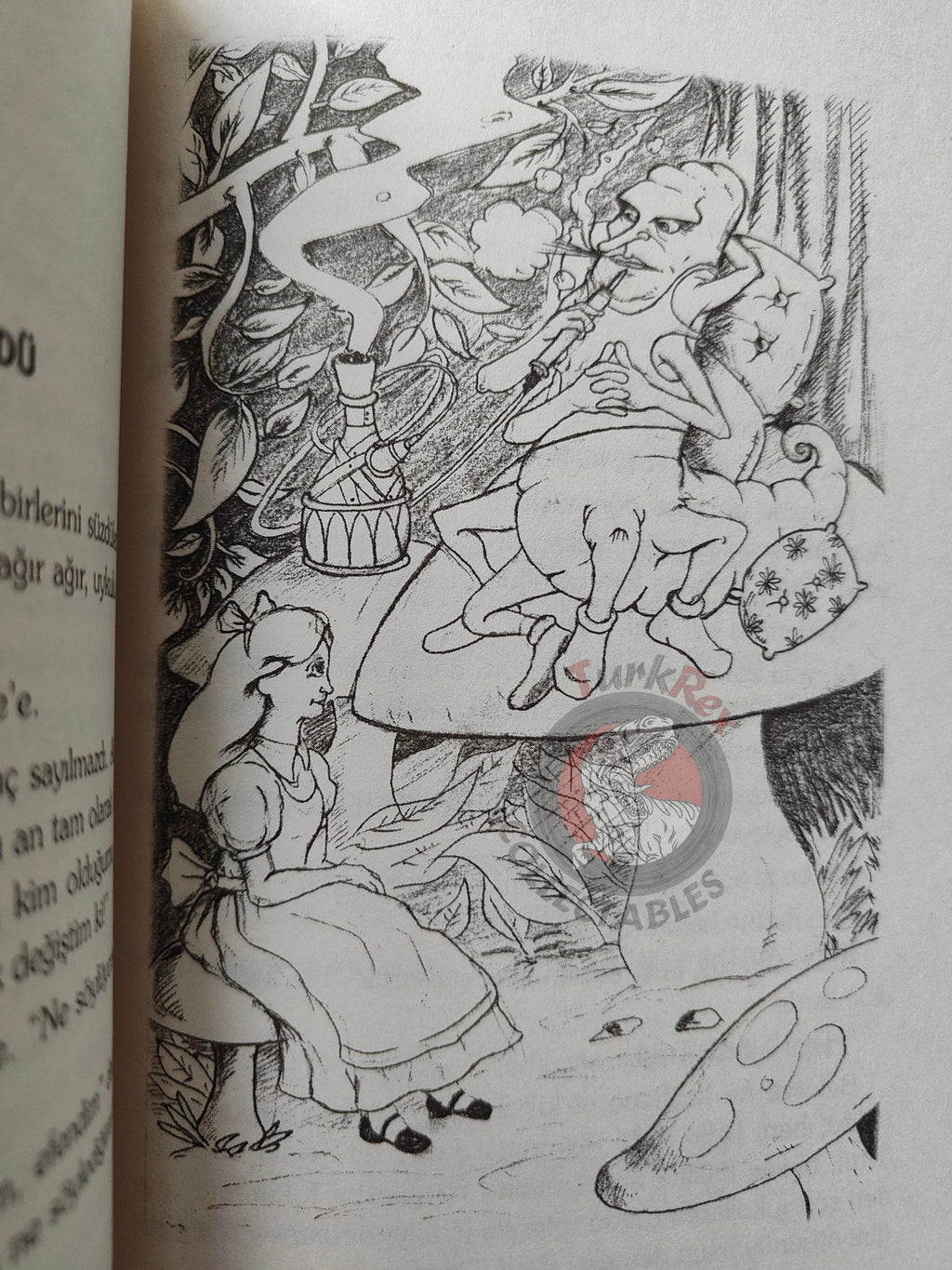 Lewis Carroll – Alice in Wonderland 2004 Turkish Book Turkey Illustrated