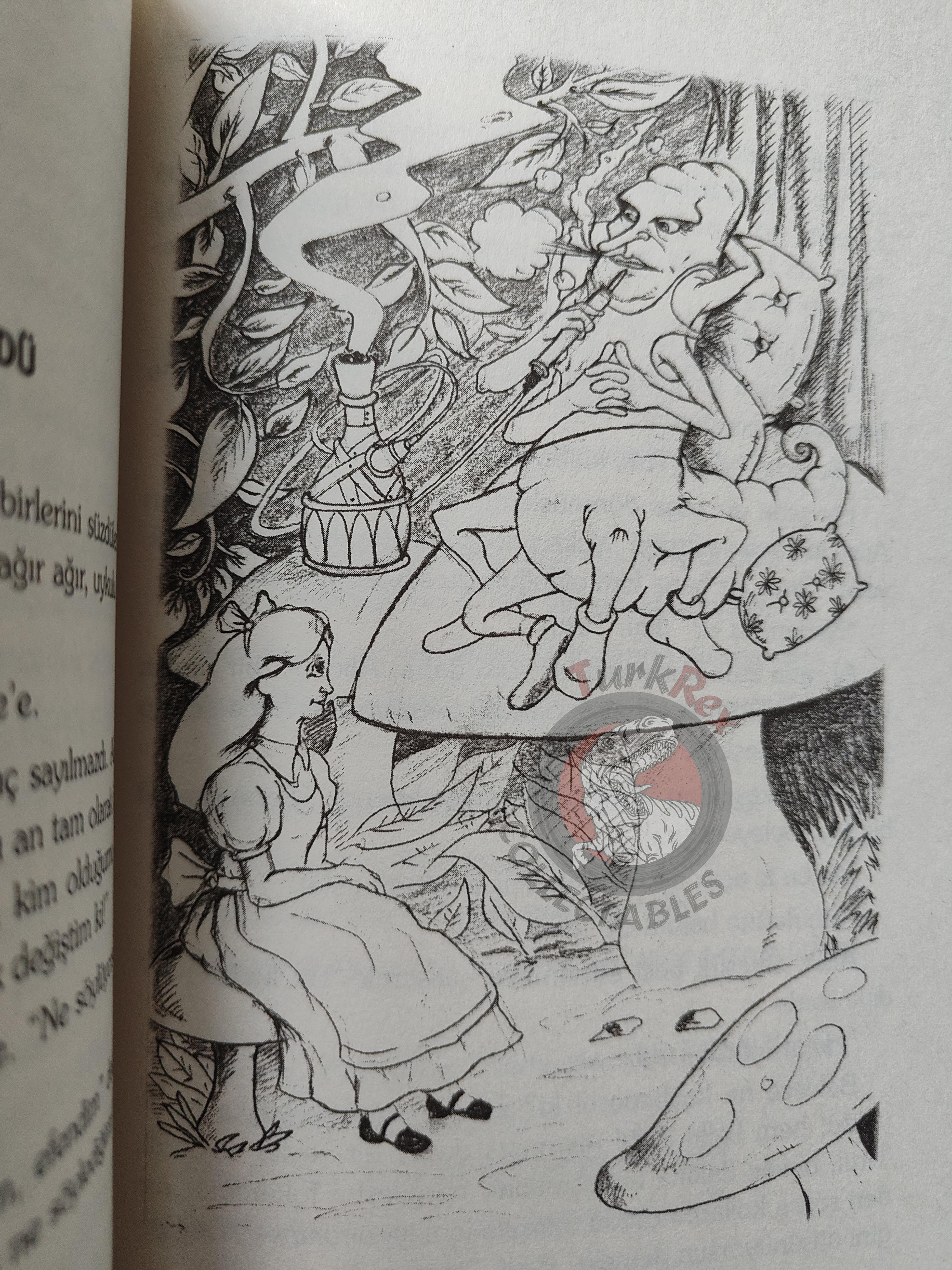Lewis Carroll – Alice in Wonderland 2004 Turkish Book Turkey Illustrated