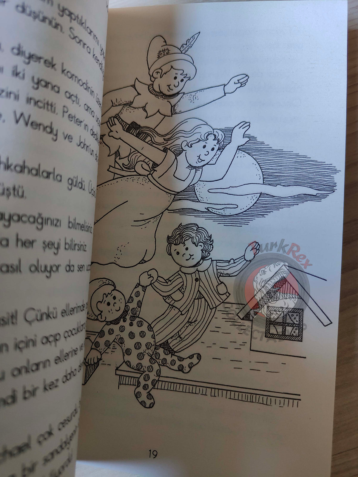 J. M. Barrie – Peter Pan 2009 Turkish Book Turkey Illustrated 4