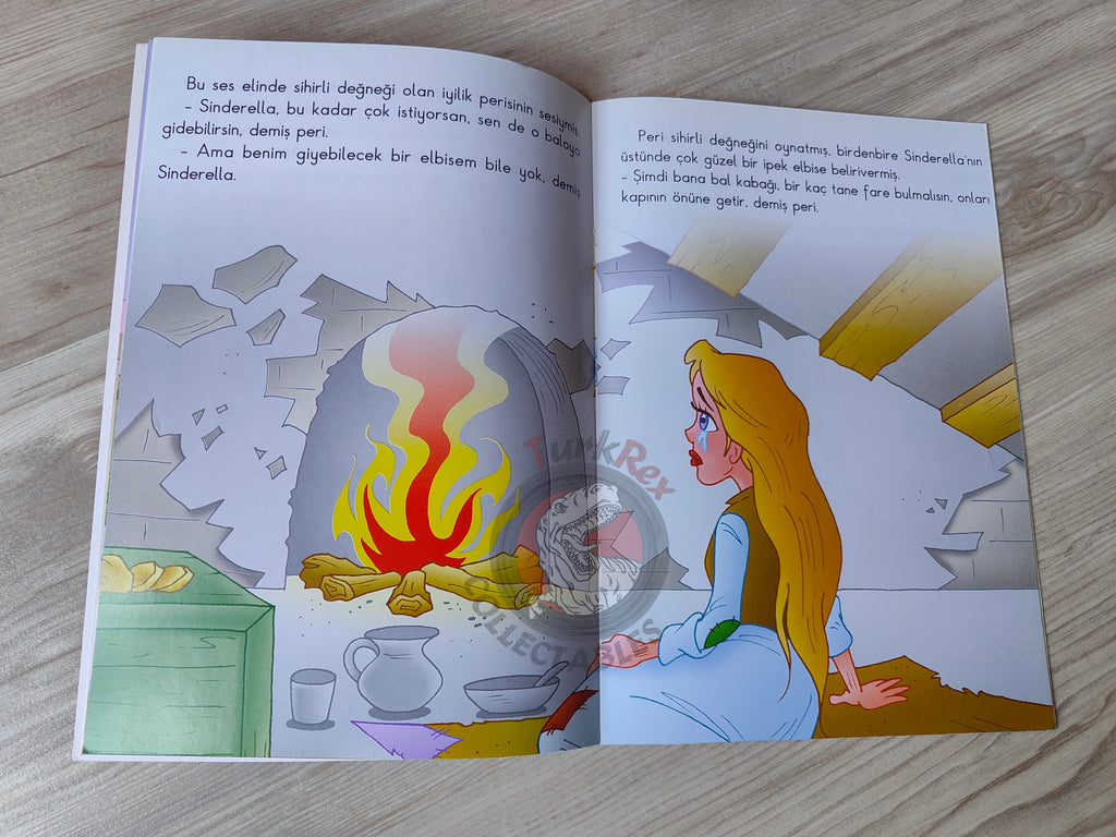 Grimm Brothers – Cinderella 2011 Turkish Book Turkey Illustrated 1
