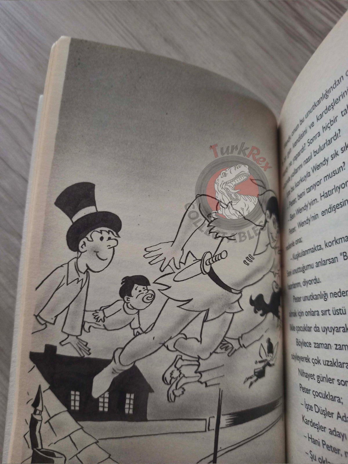J. M. Barrie – Peter Pan 2005 Turkish Book Turkey Illustrated 1