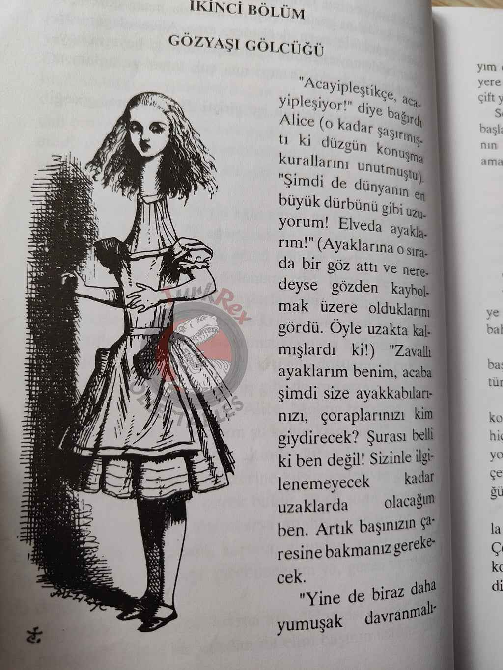 Lewis Carroll – Alice in Wonderland 2000 Turkish Book Turkey Illustrated John Tenniel