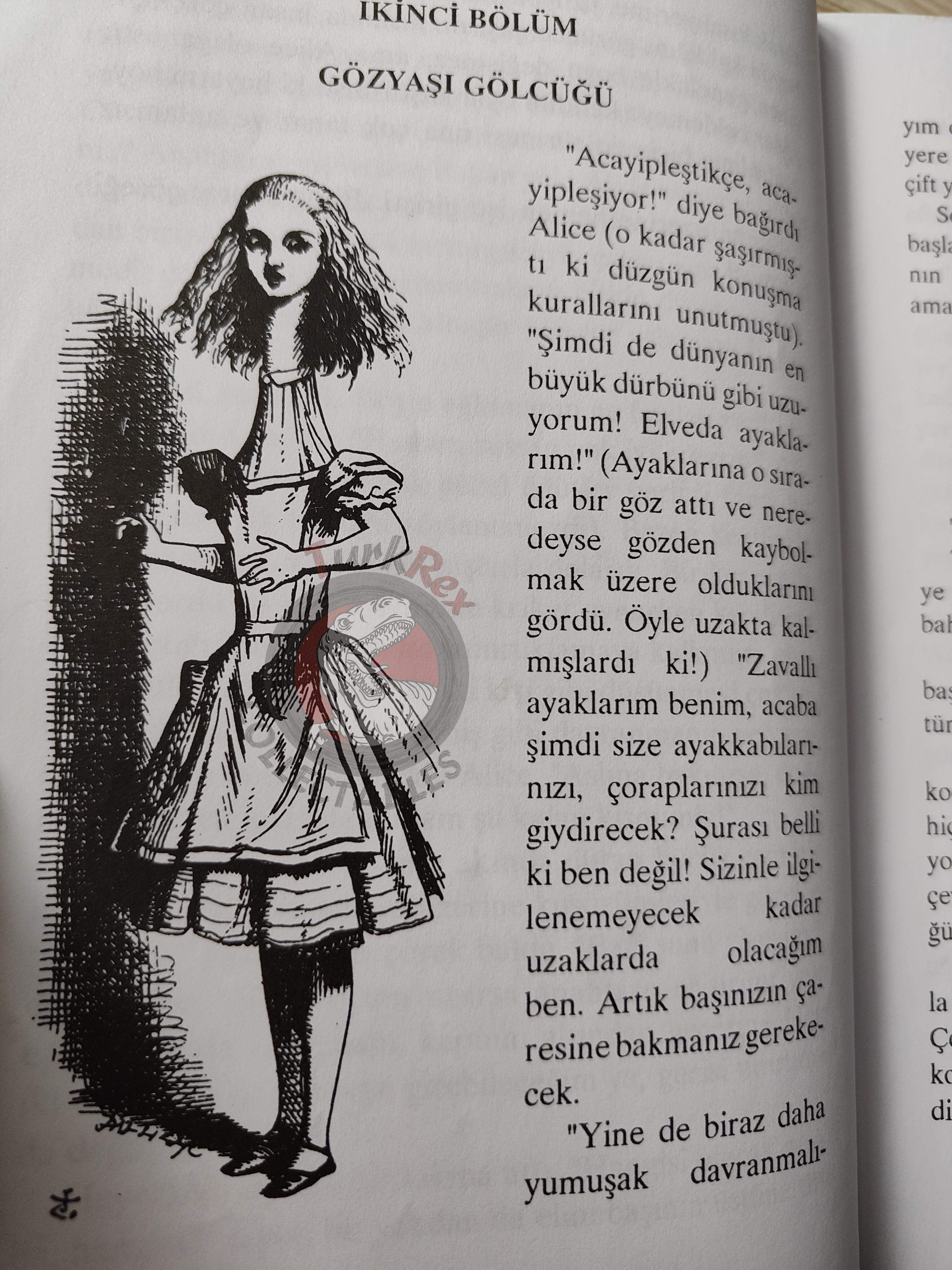 Lewis Carroll – Alice in Wonderland 2000 Turkish Book Turkey Illustrated John Tenniel