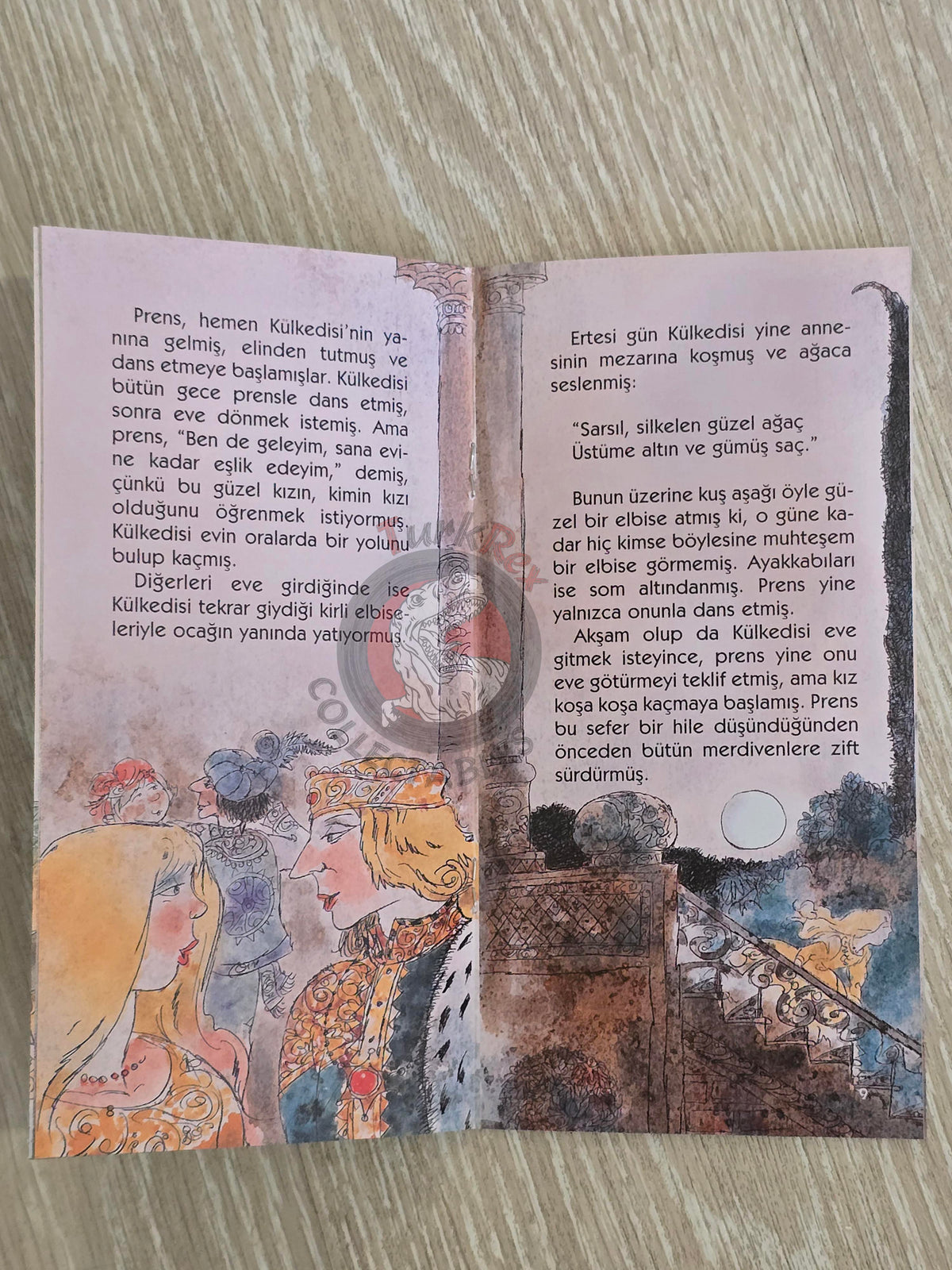 Grimm Brothers – Cinderella 2011 Turkish Book Turkey Illustrated 2