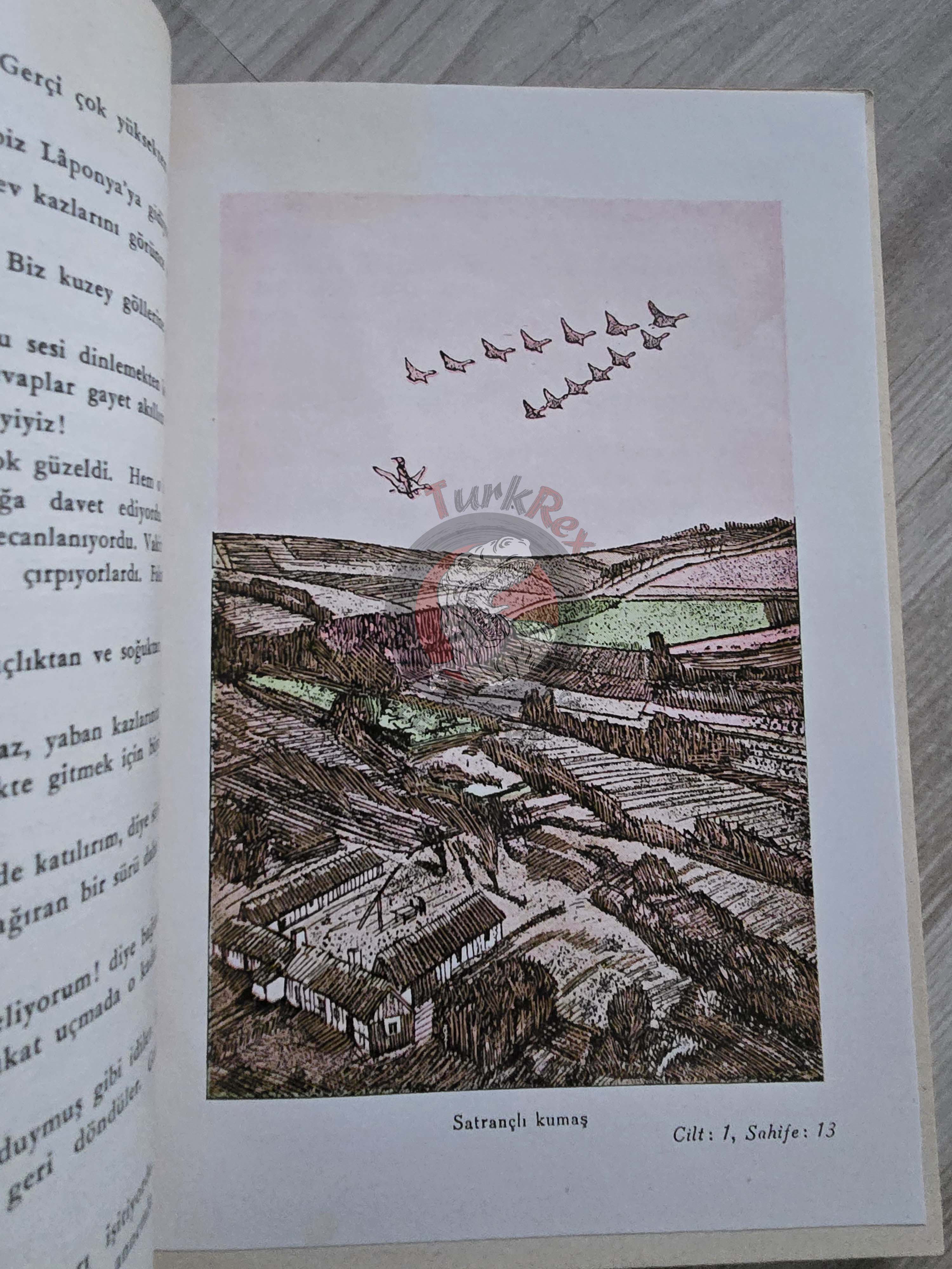 Selma Lagerlöf – The Wonderful Adventures Of Nils 1951 1st Illustrated Turkish Book Turkey