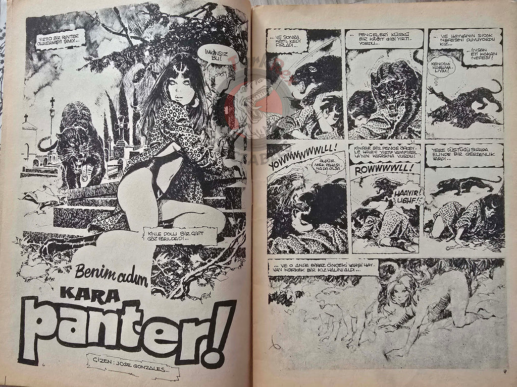 Vampirella #13 1977 Turkish Comic Turkey Warren Publishing cover #50 Morbius