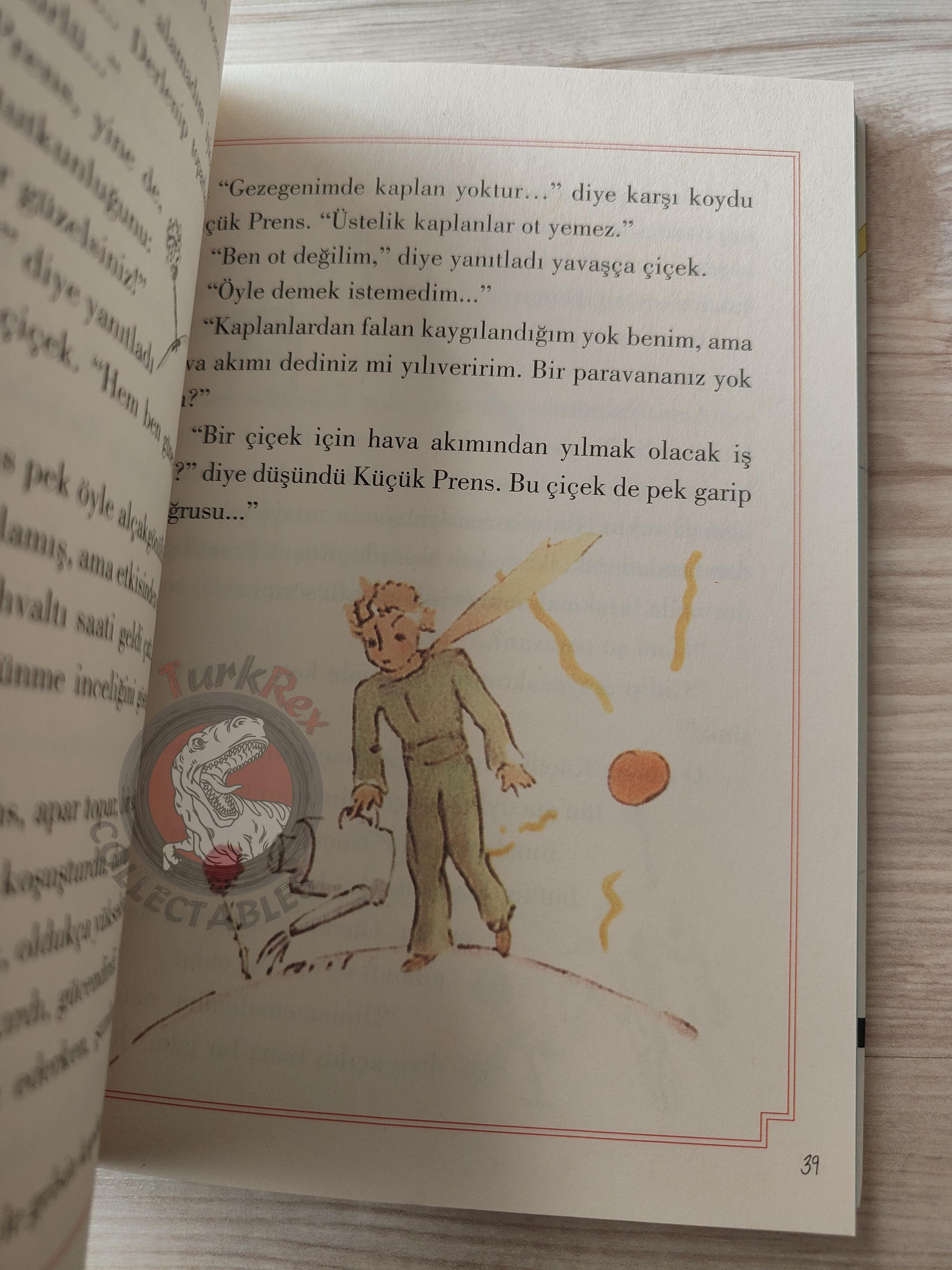 Antoine de Saint-Exupéry – Le Petit Prince 2015 Turkish Book Turkey Illustrated Little 7