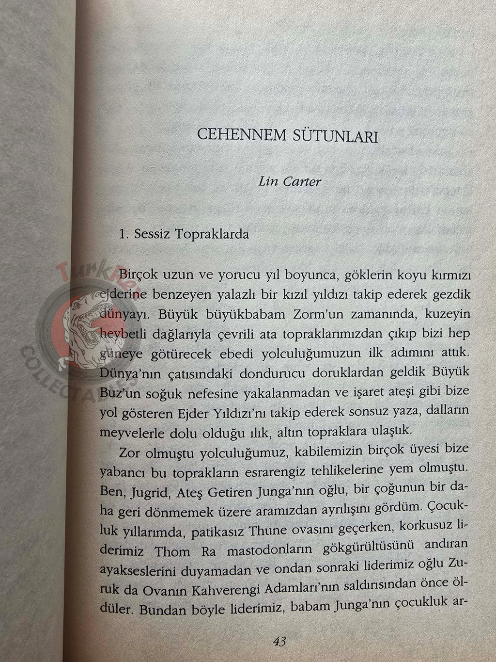Robert E. Howard - Sword and Sorcery 2000 1st Turkish Book Turkey Conan Frank Frazetta
