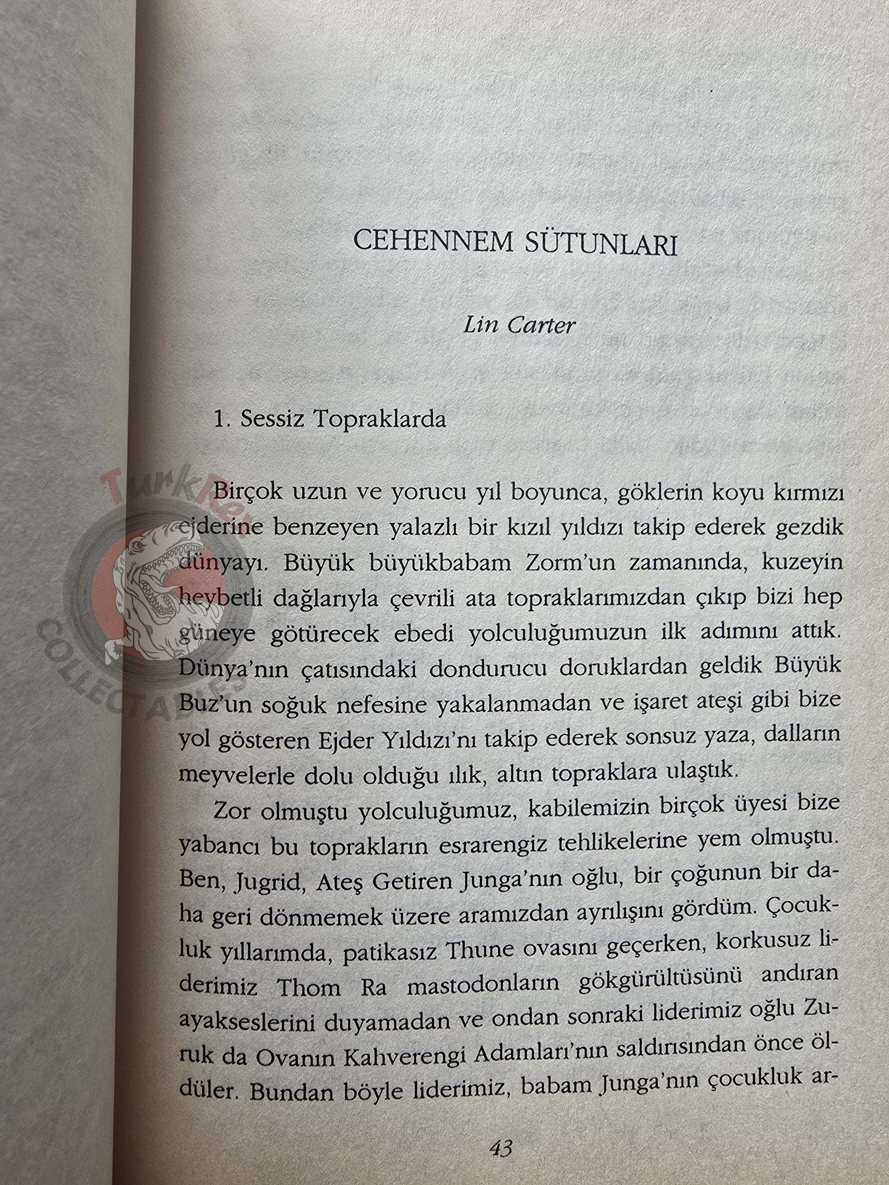 Robert E. Howard - Sword and Sorcery 2000 1st Turkish Book Turkey Conan Frank Frazetta