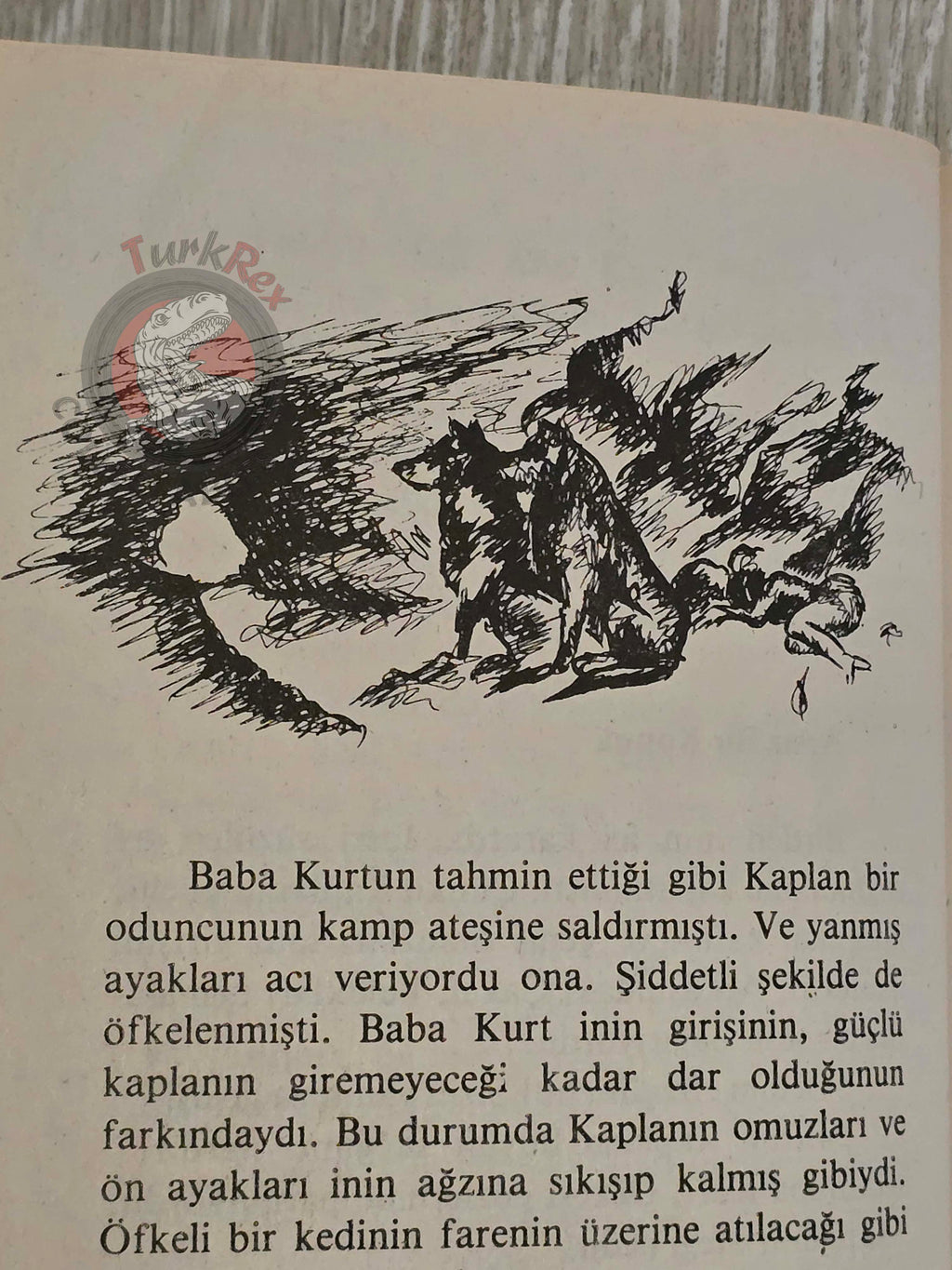 Rudyard Kipling – The Jungle Book 1983 Turkish Book Turkey Illustrated
