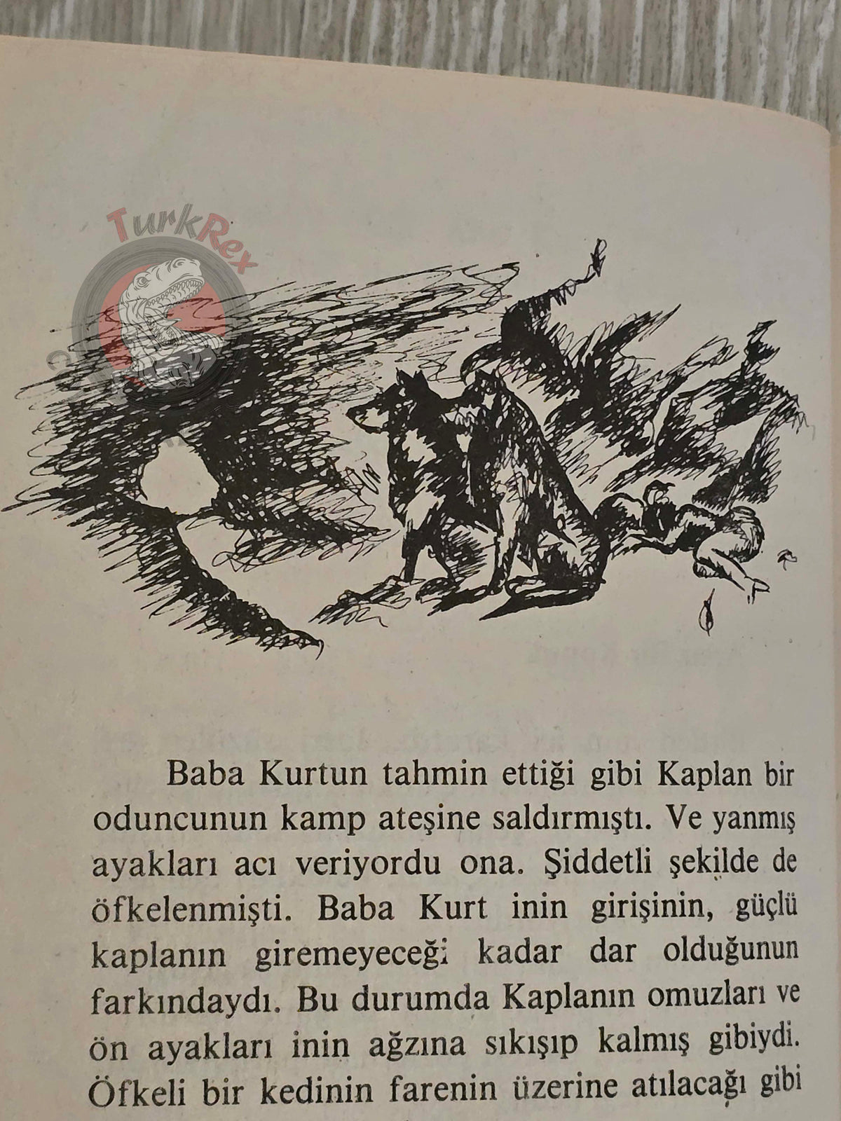 Rudyard Kipling – The Jungle Book 1983 Turkish Book Turkey Illustrated