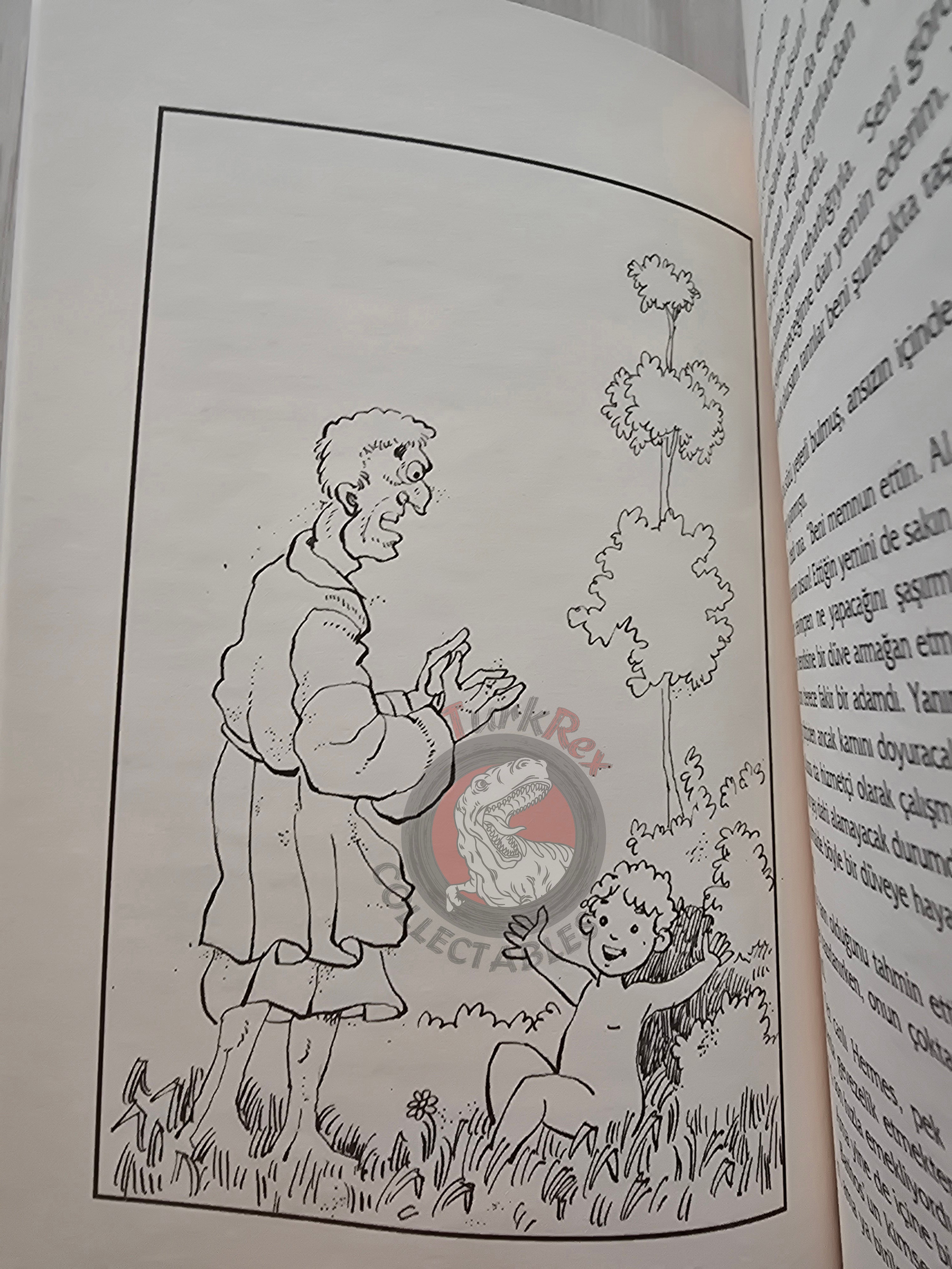 Hermes – Robert Krugmann 2003 Turkish Book Turkey Illustrated by Turkish Artist