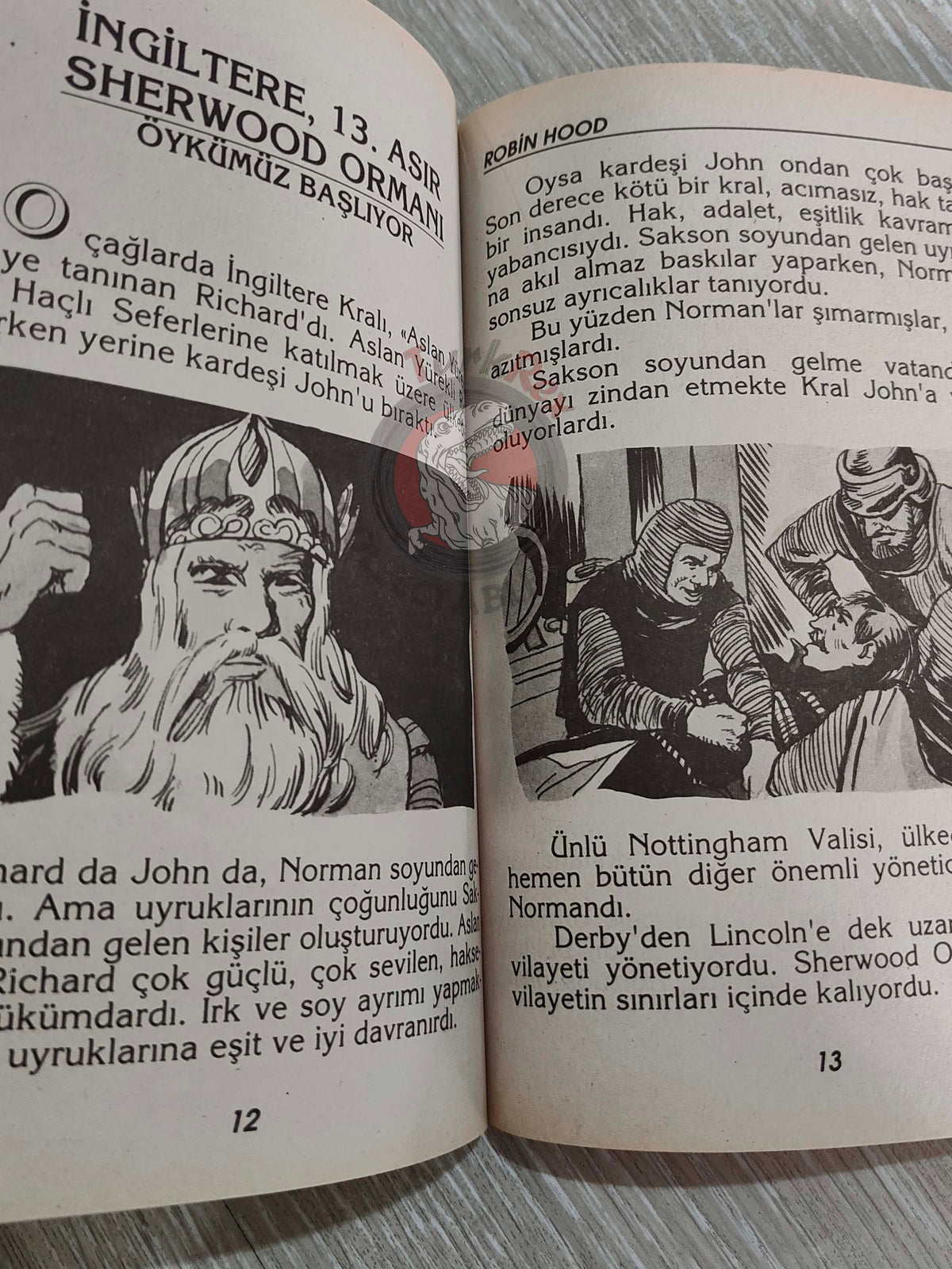 Robin Hood – Howard Pyle 1998 Turkish Book Turkey Illustrated