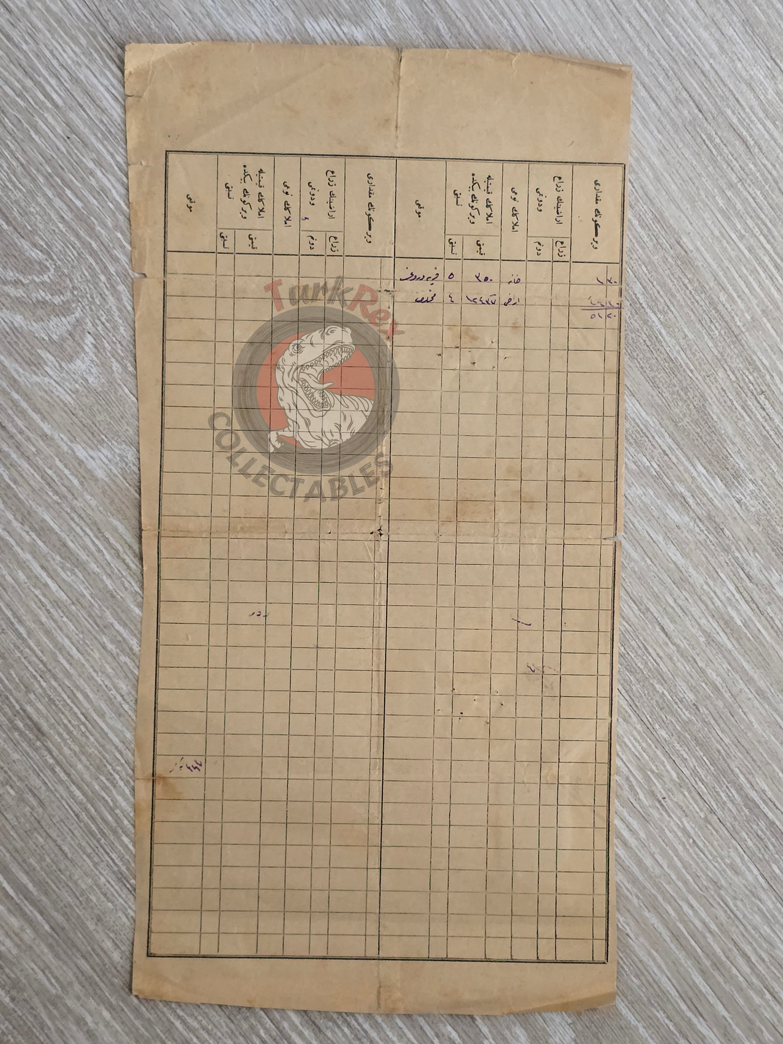 Ottoman Tax Receipt 1905 Muslim Woman Taxpayer in Balkans Manastir Vilayet