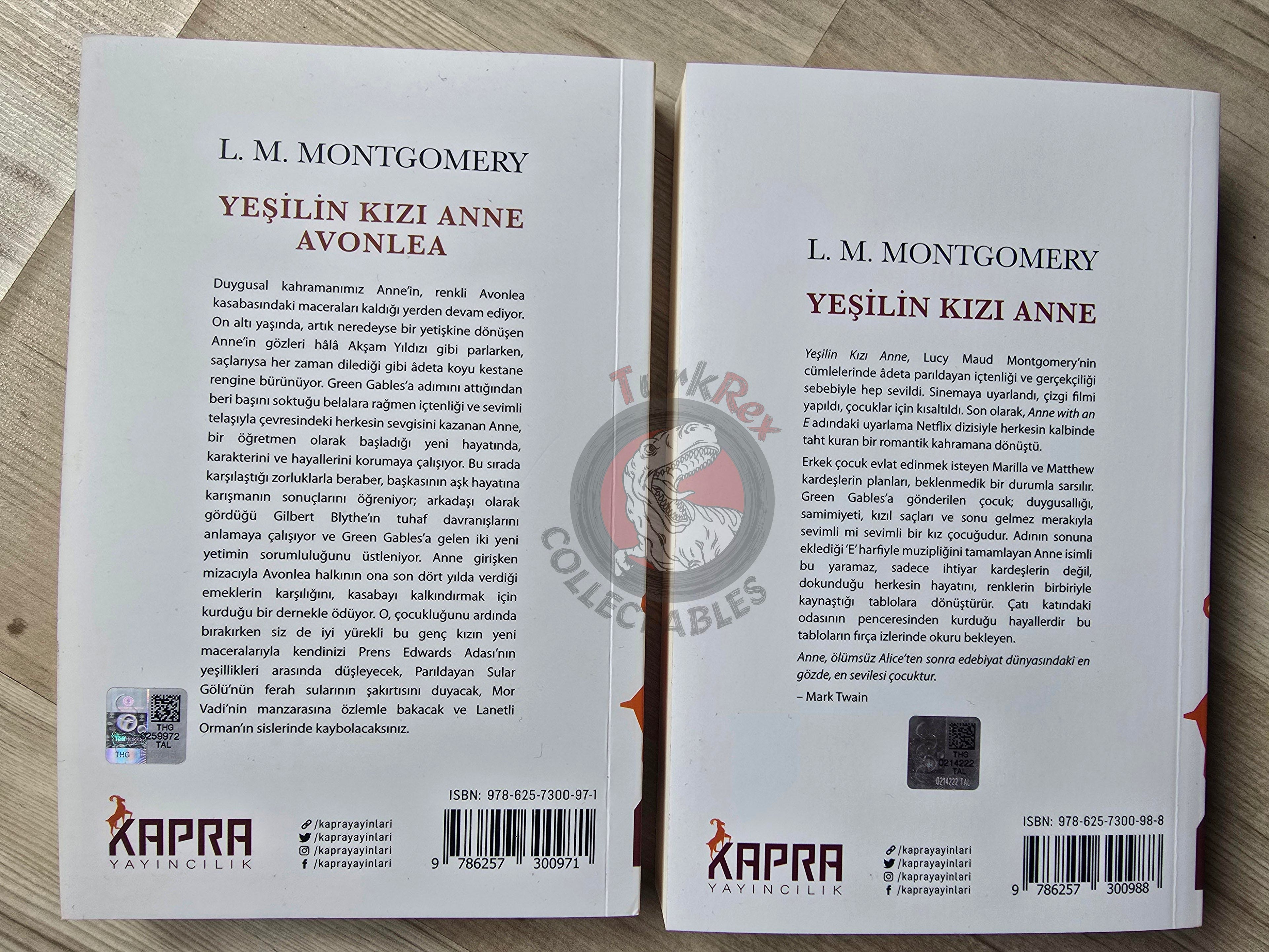 L. M. Montgomery – Anne of Avonlea  2021 Turkish Book Turkey