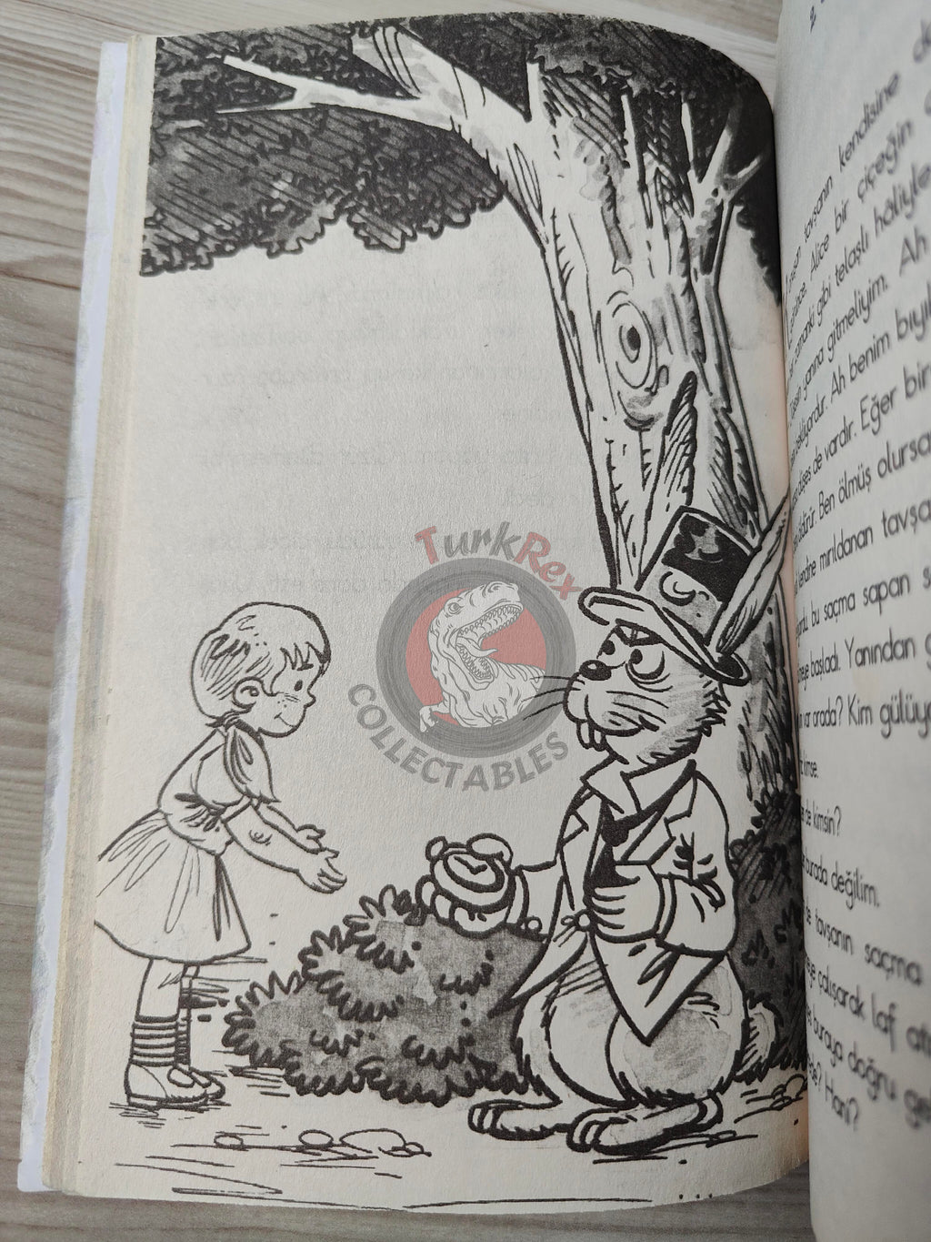 Lewis Carroll – Alice in Wonderland 2010 Turkish Book Turkey Illustrated 1