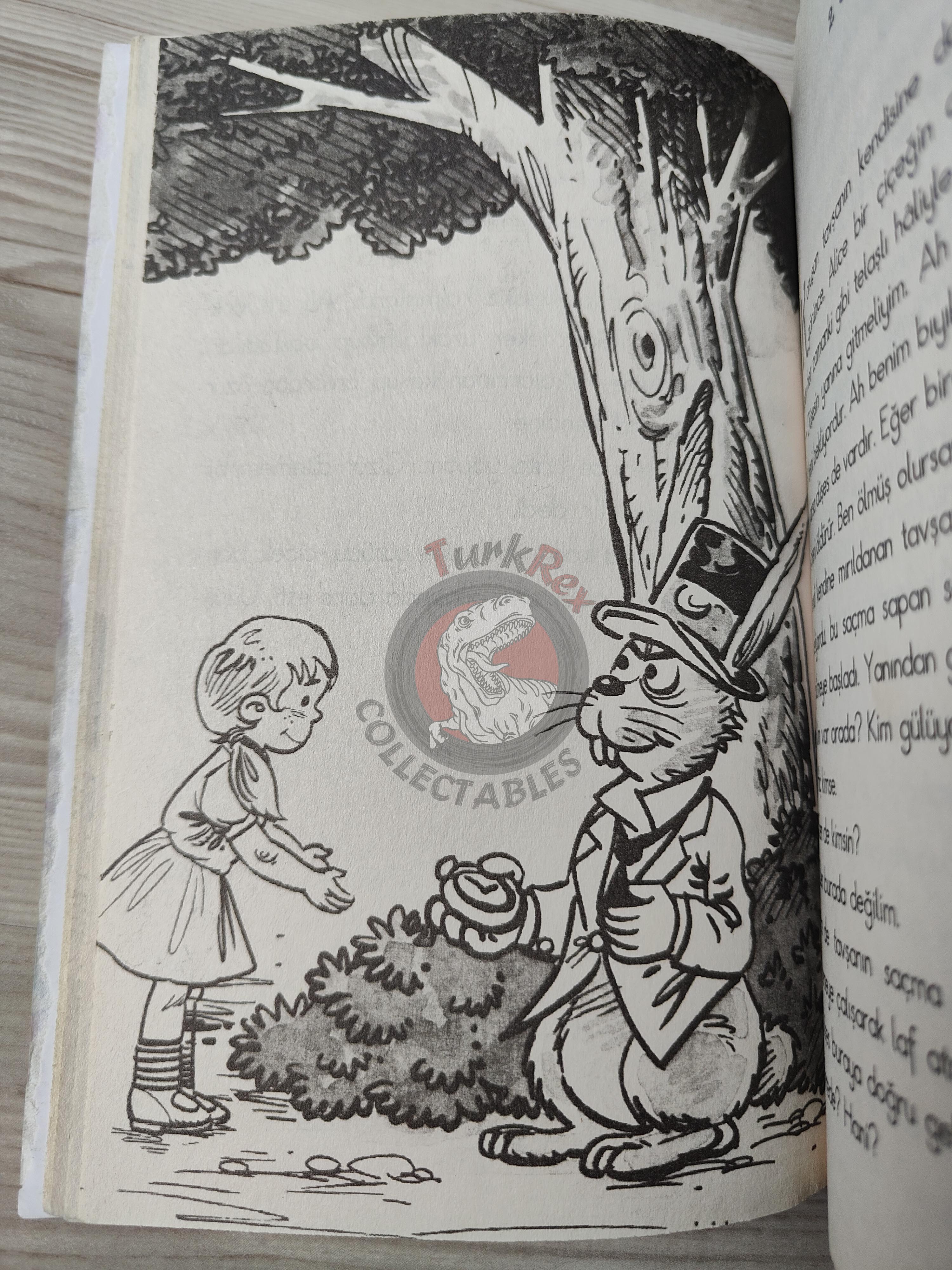 Lewis Carroll – Alice in Wonderland 2010 Turkish Book Turkey Illustrated 1