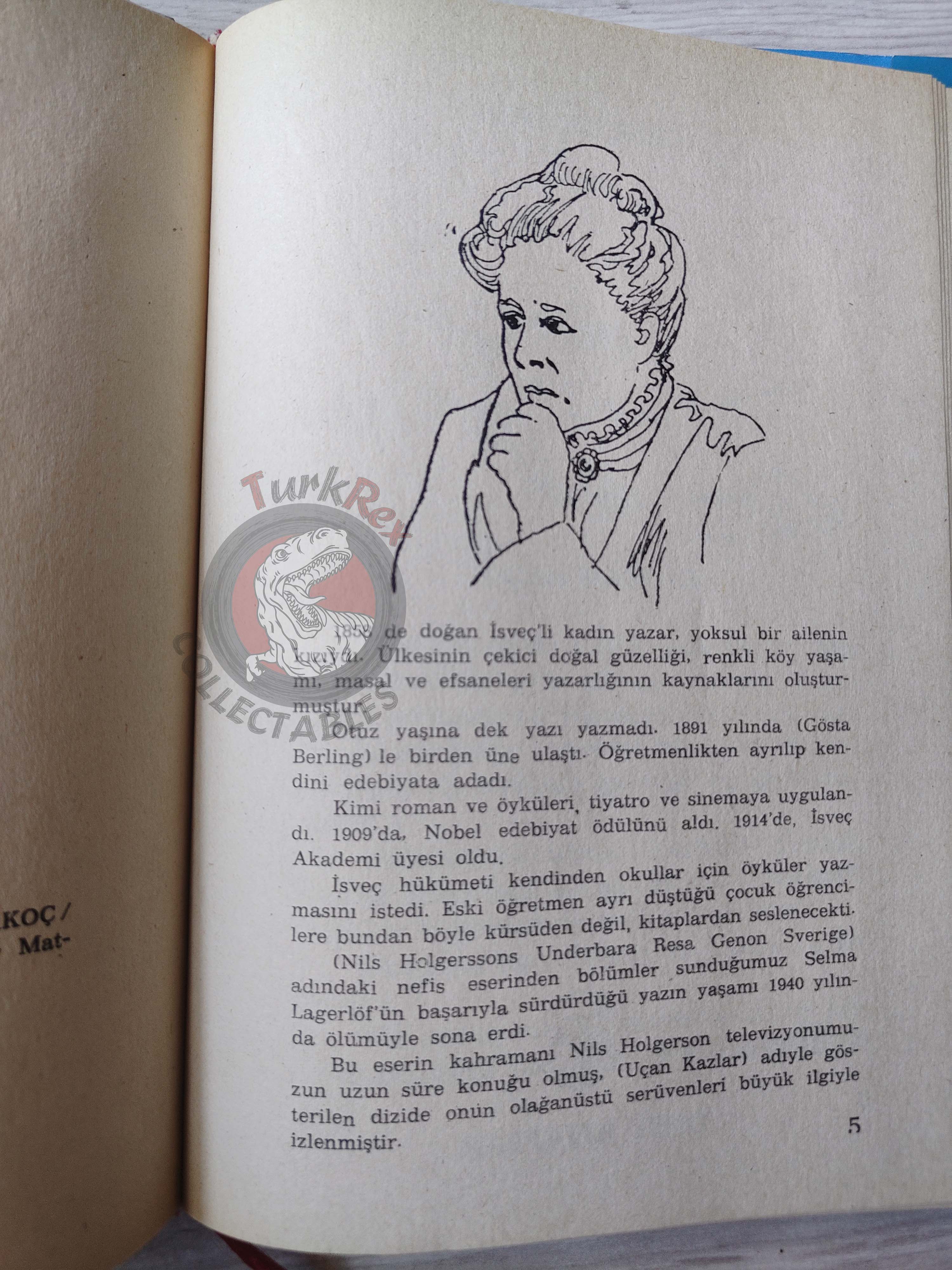 Selma Lagerlöf – The Wonderful Adventures Of Nils 90s Illustrated Turkish Book Turkey