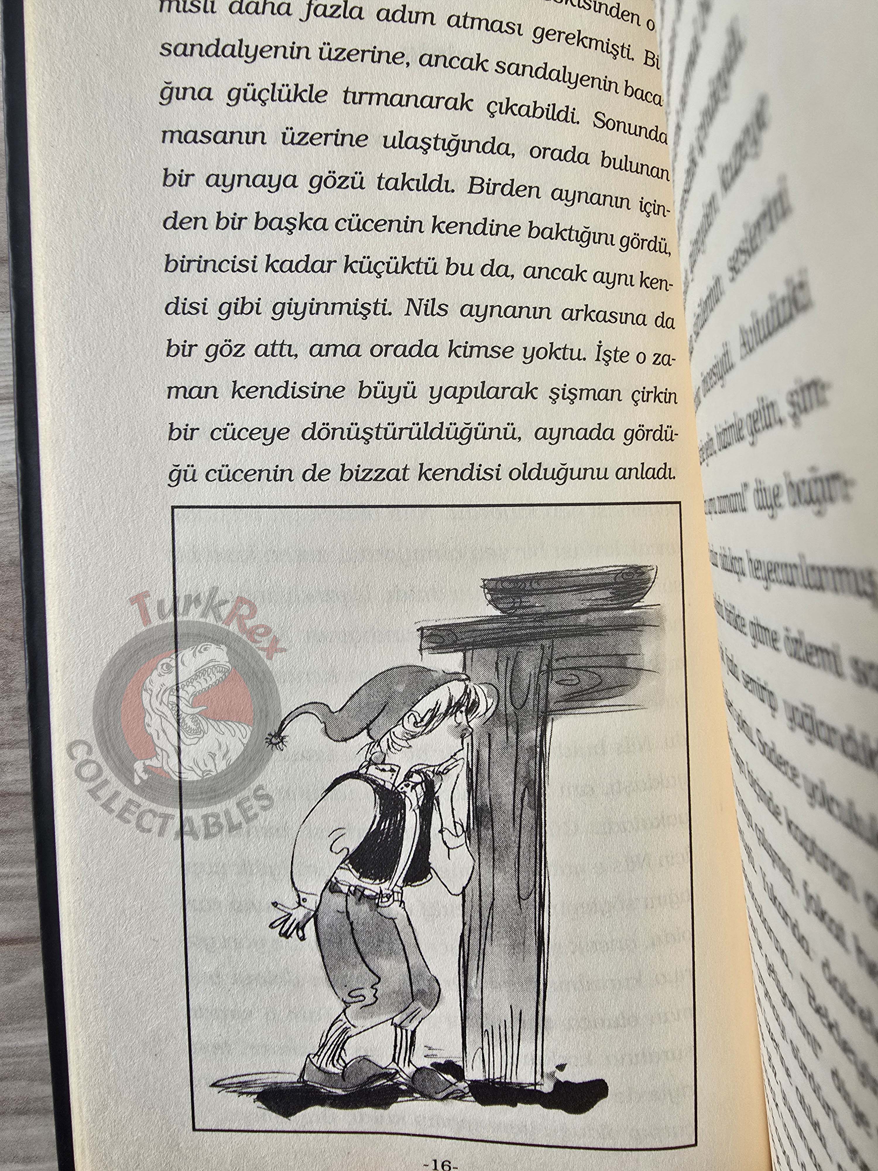 Selma Lagerlöf – The Wonderful Adventures Of Nils 2005 Illustrated Turkish Book Turkey