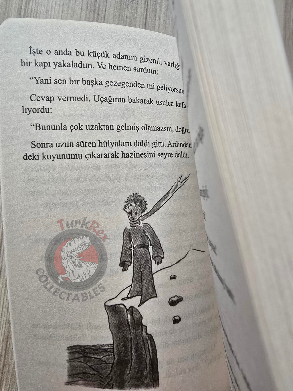 Antoine de Saint-Exupéry – Le Petit Prince 2019 Turkish Book Turkey Illustrated Little