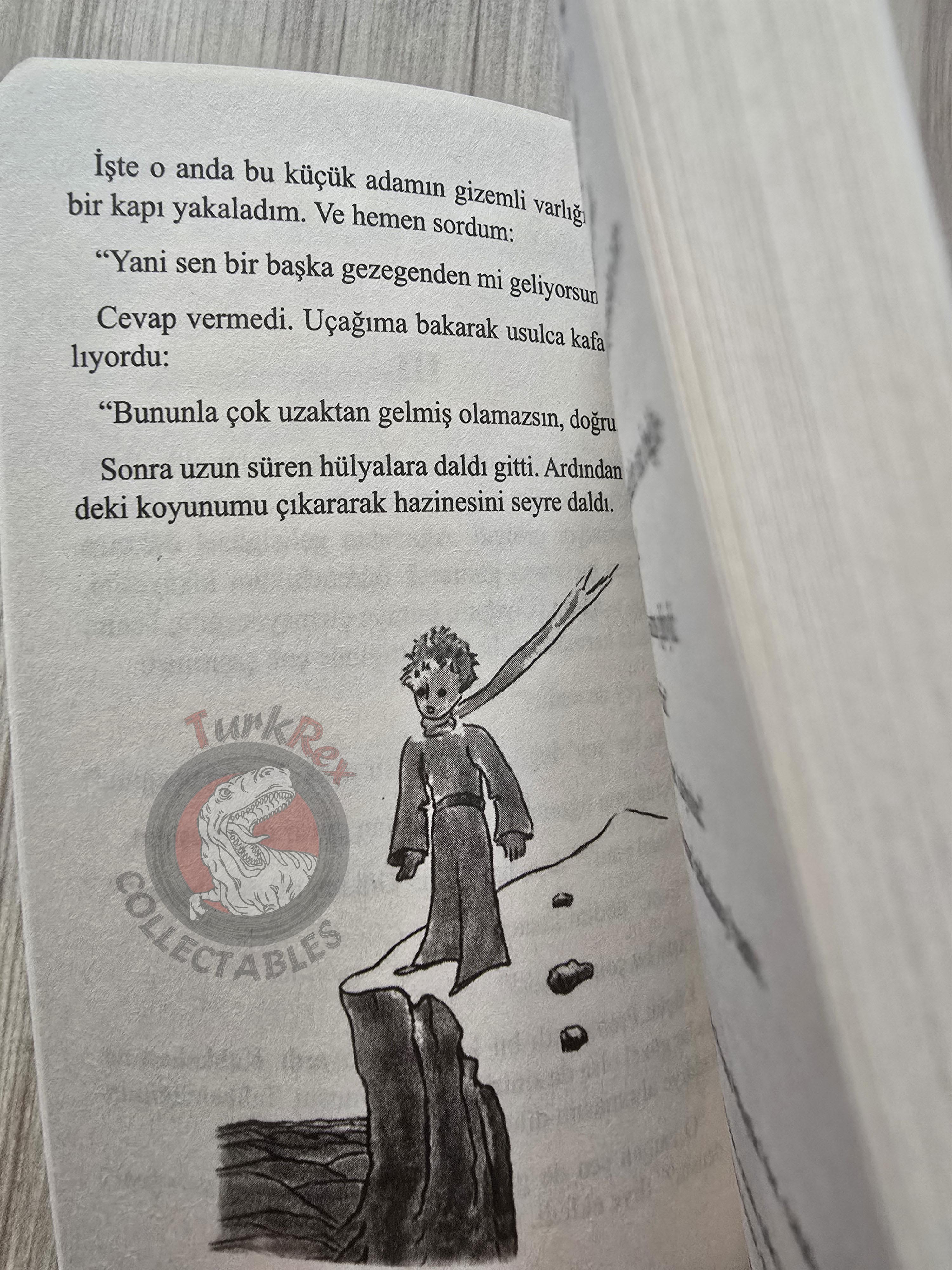 Antoine de Saint-Exupéry – Le Petit Prince 2019 Turkish Book Turkey Illustrated Little